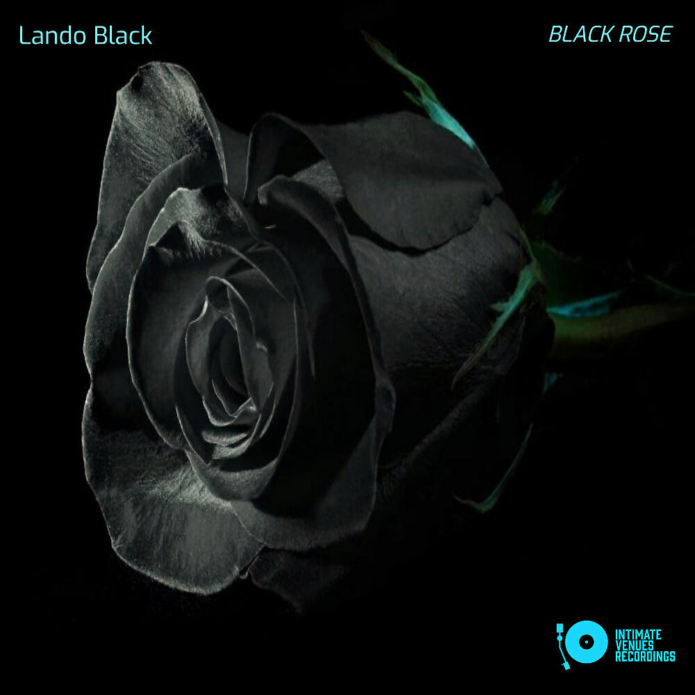 Релиз Black Rose