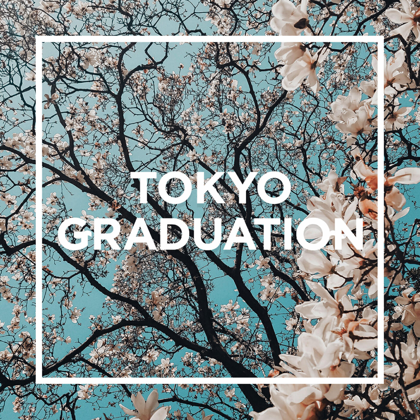 Релиз TOKYO - GRADUATION -