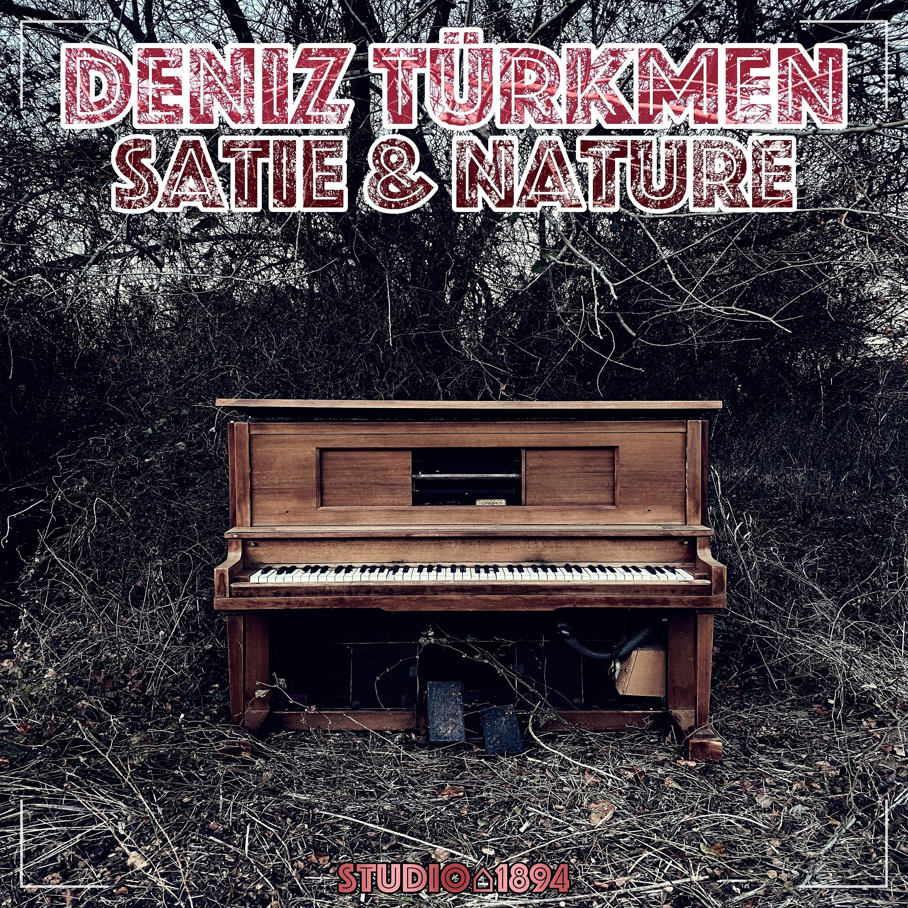 Релиз Satie & Nature