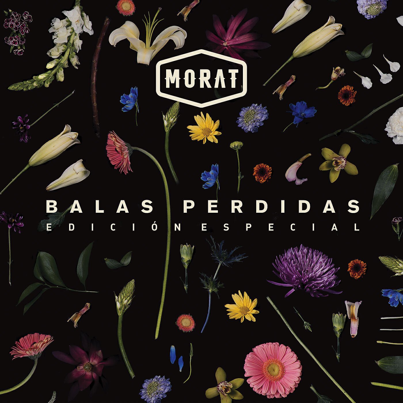 Скачать песню Morat, Aitana - Presiento бесплатно в MP3 для Android и iOS