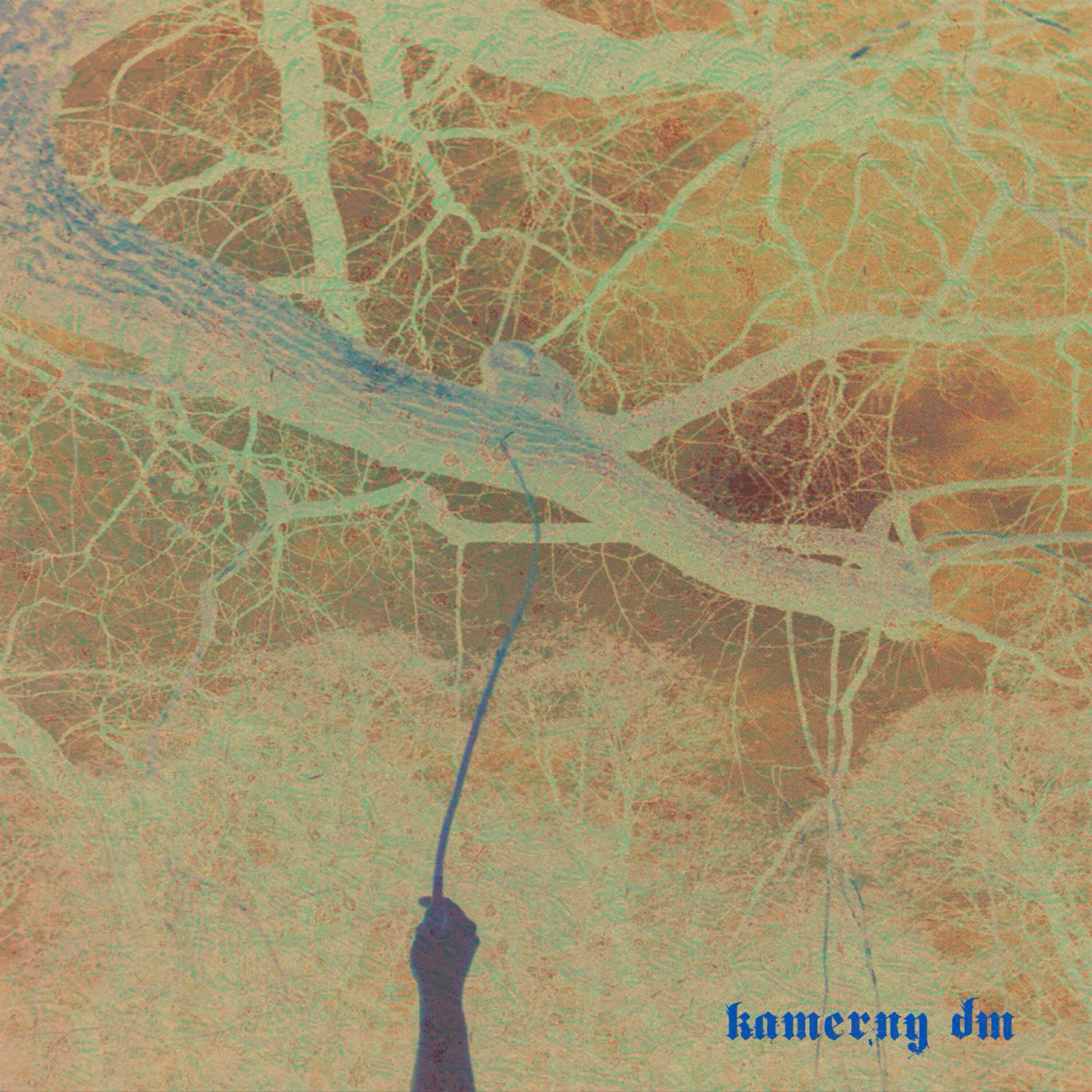 Релиз Kamerny Dm