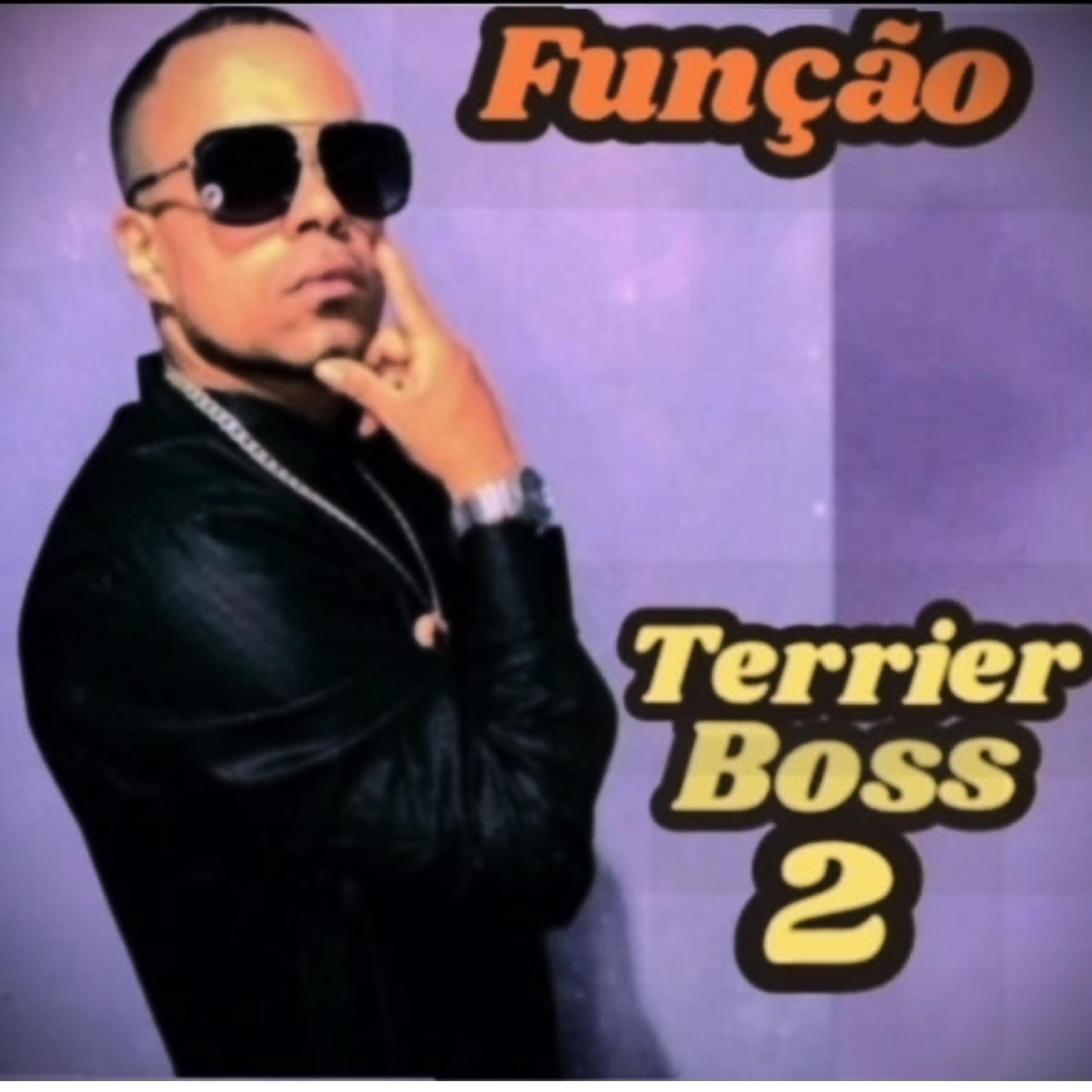 Релиз Função Aqui Não Para, Função Só Dá um Tempo