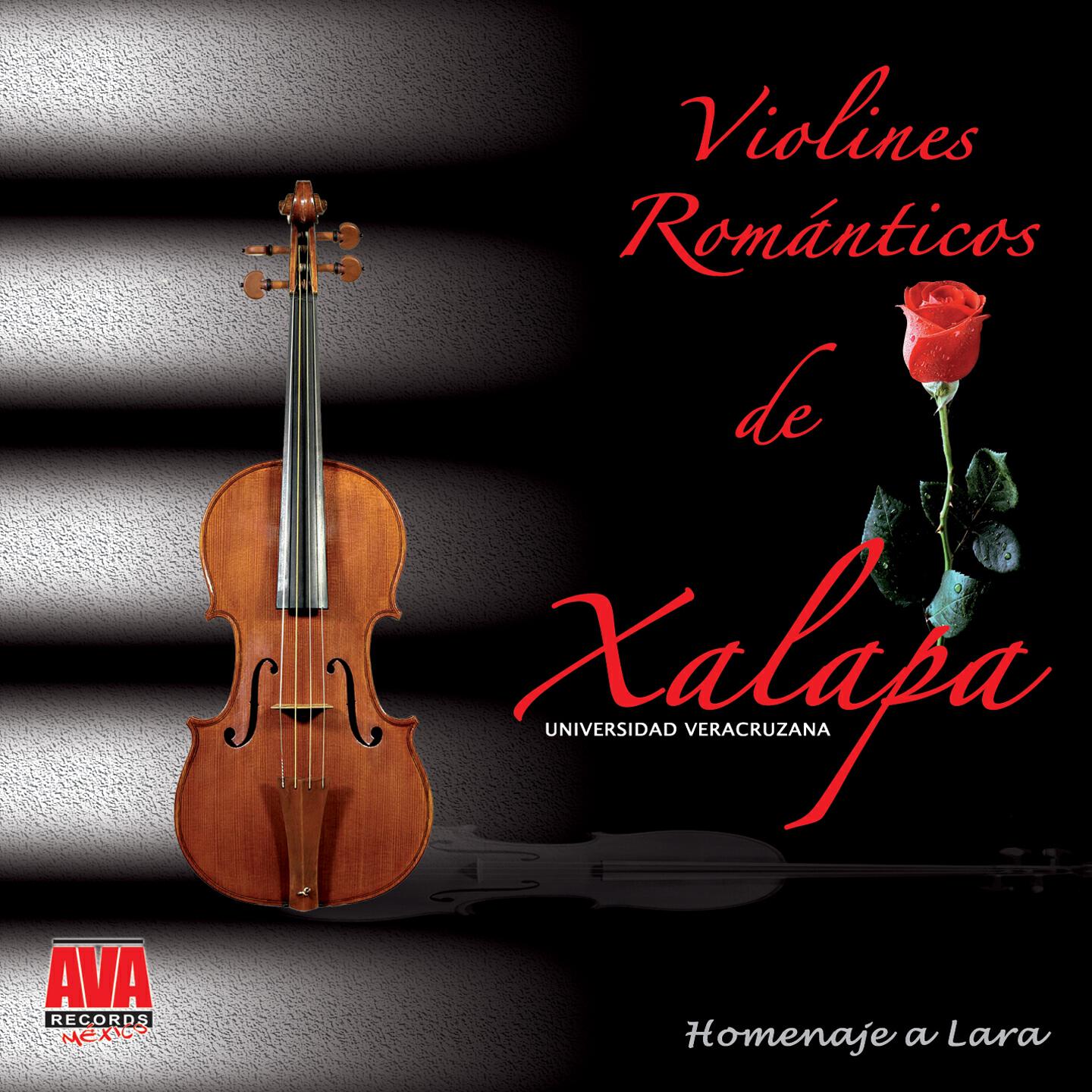 Violines Magicos De Xalapa