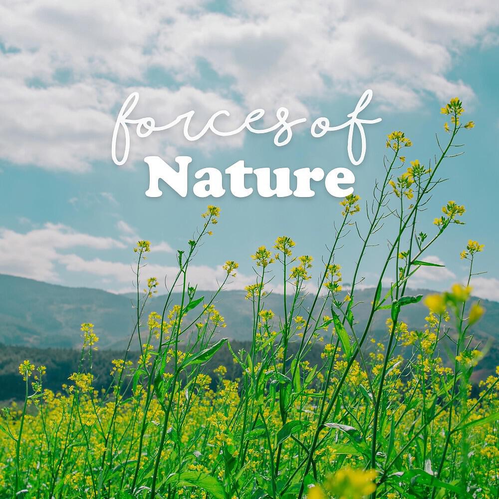 Релиз Forces of Nature