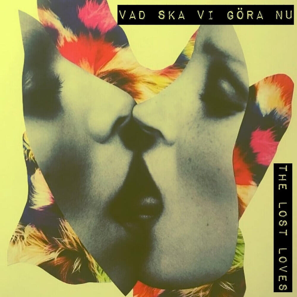 Релиз Vad Ska Vi Göre Nu