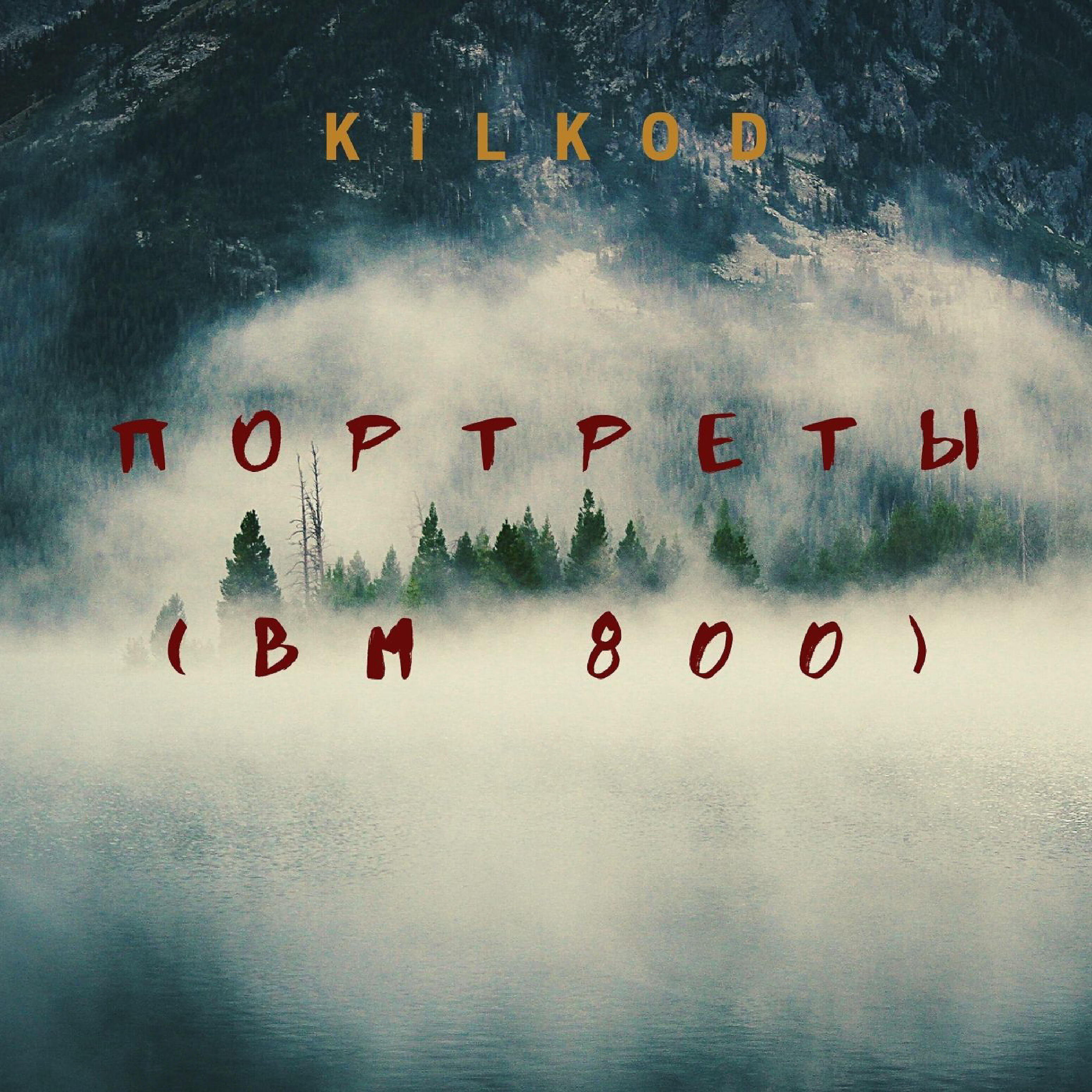 Релиз Портреты (Bm 800)