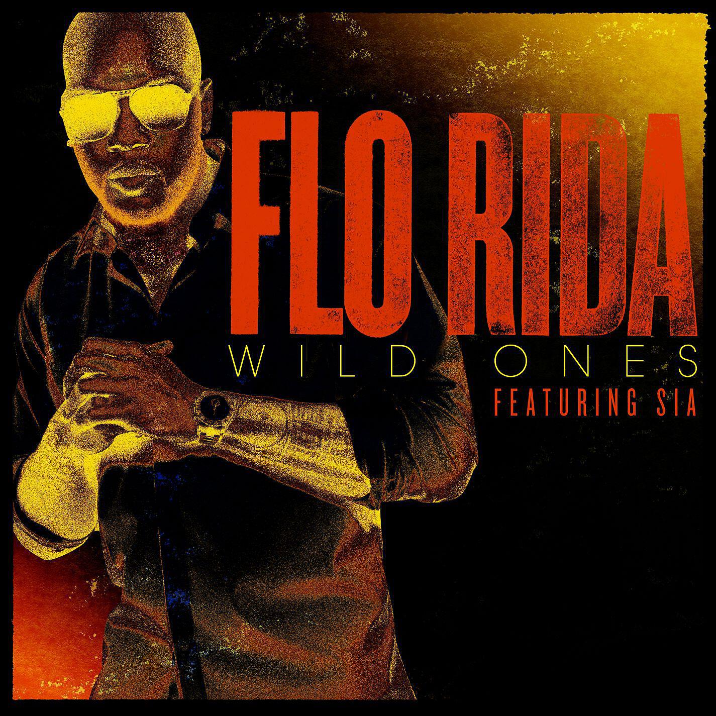 Трек Wild Ones (feat. Sia)