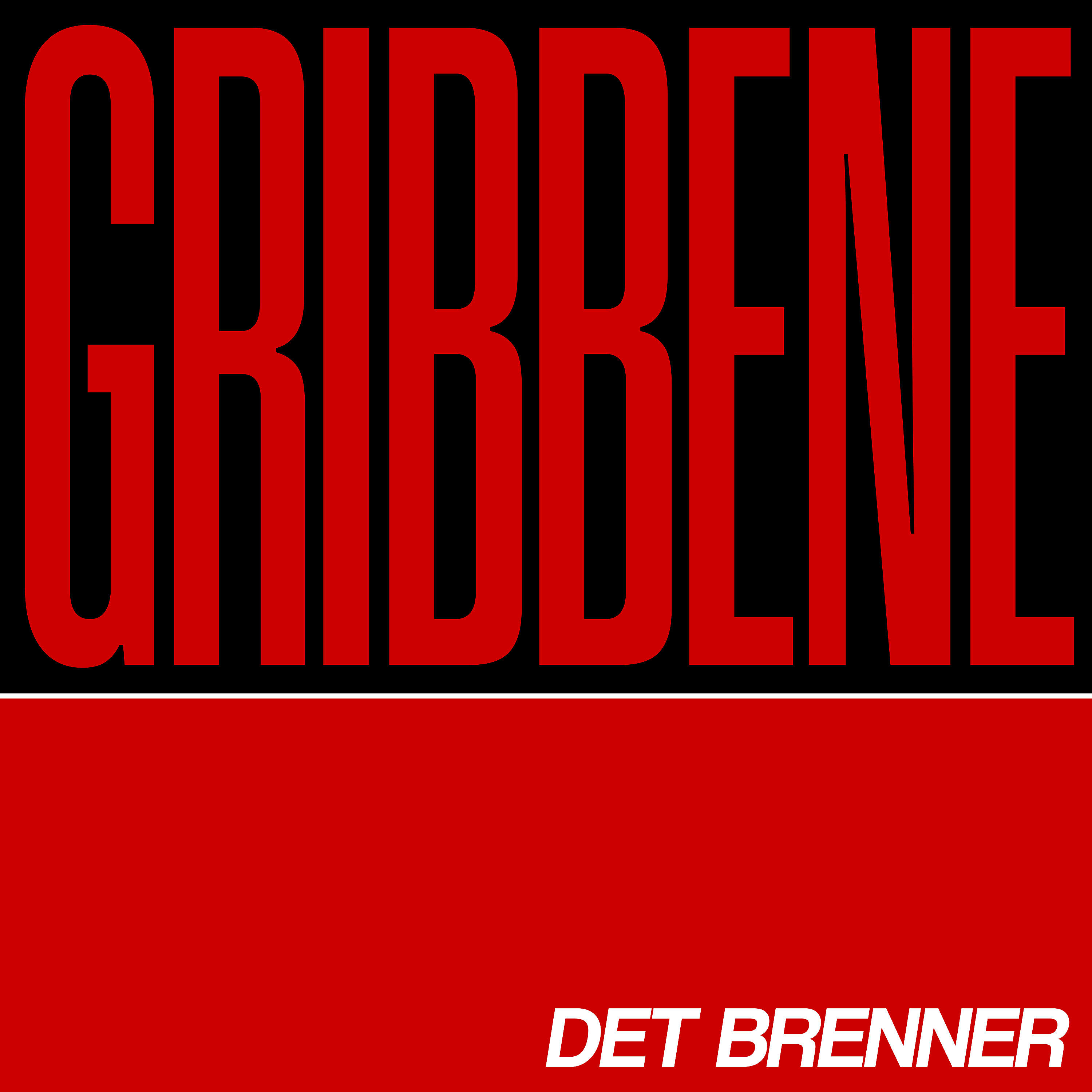 Релиз Det brenner