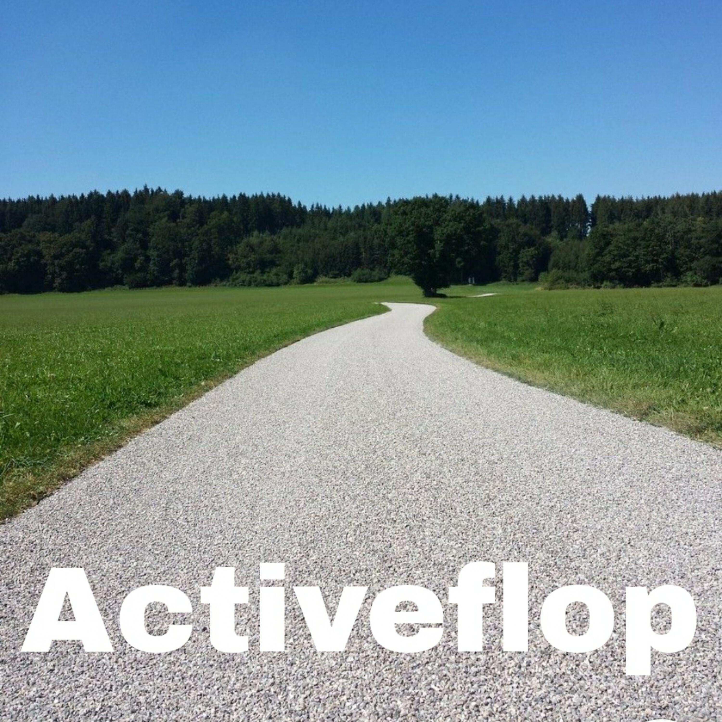 Релиз Activeflop