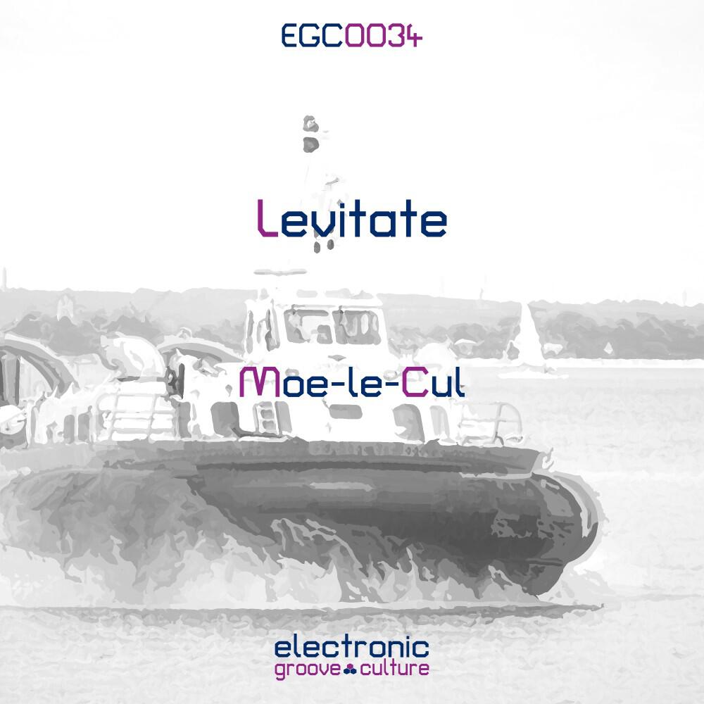 Релиз Levitate