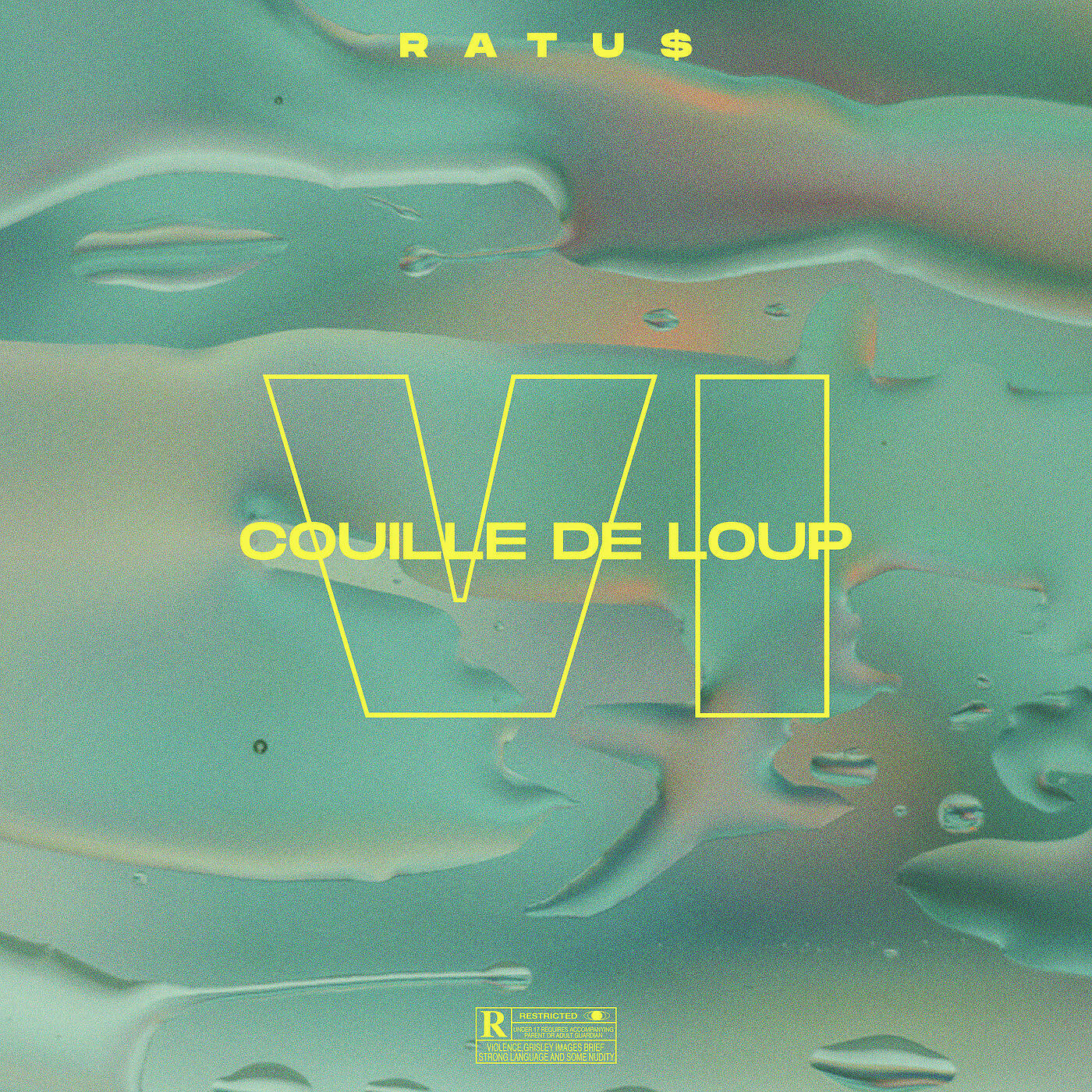 Релиз Couille de Loup VI