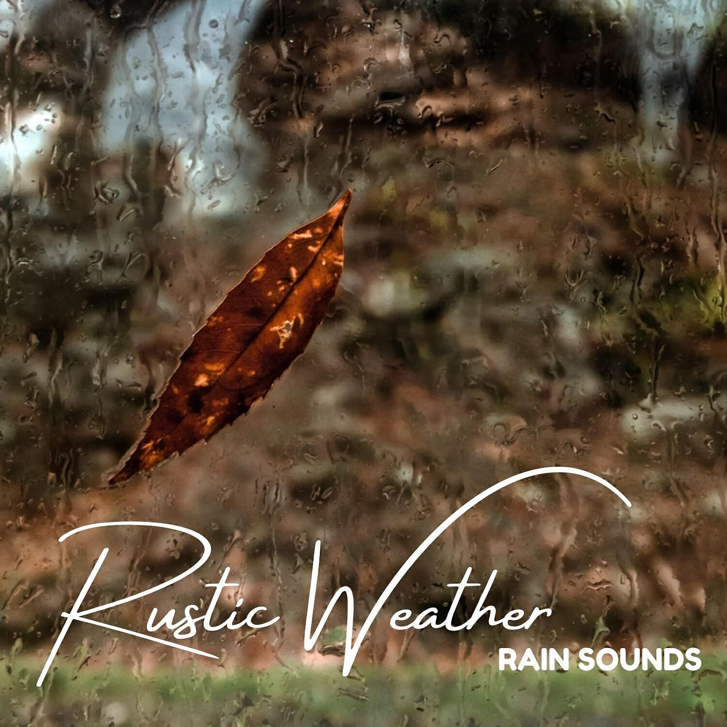 Rain Sound Experience