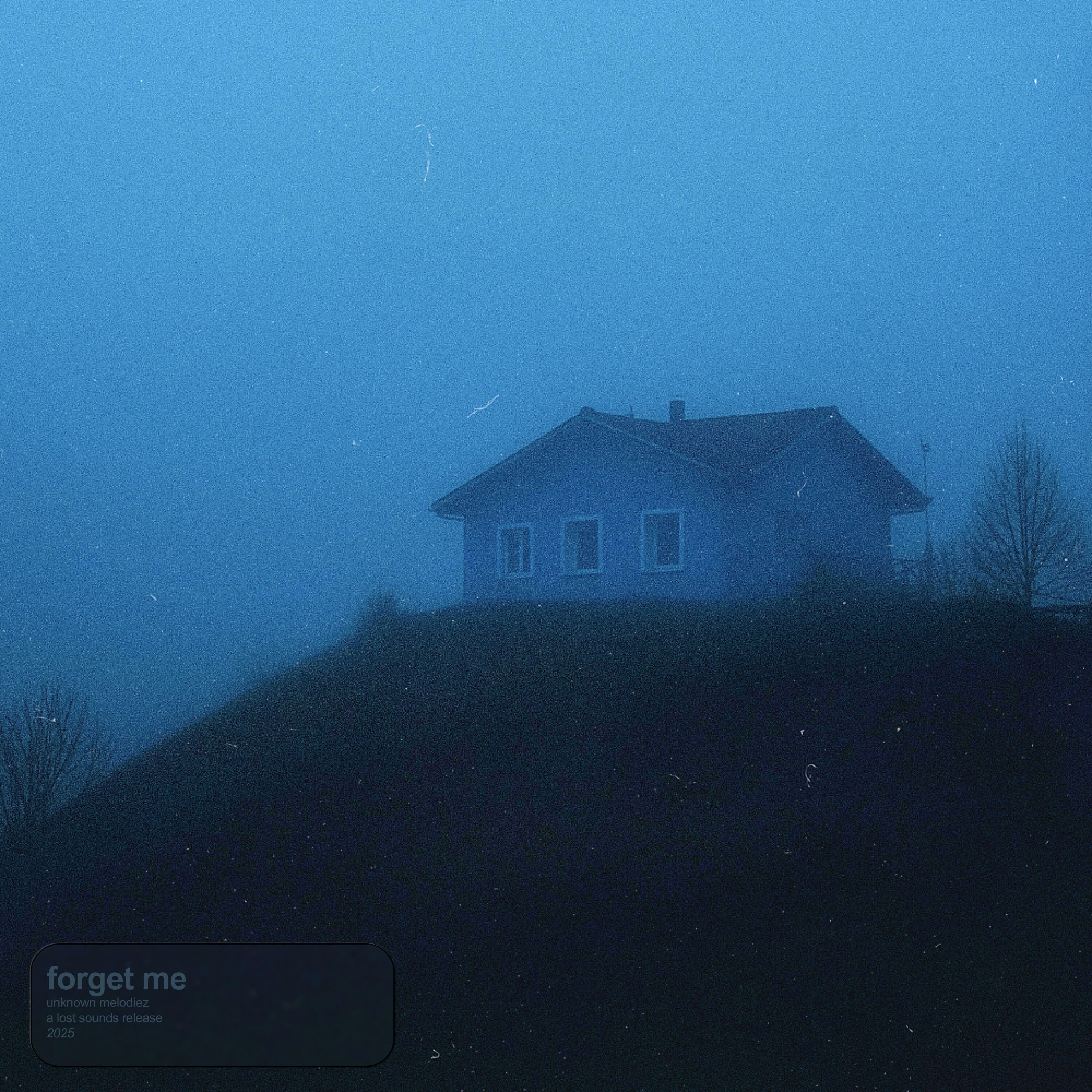 Релиз forget me