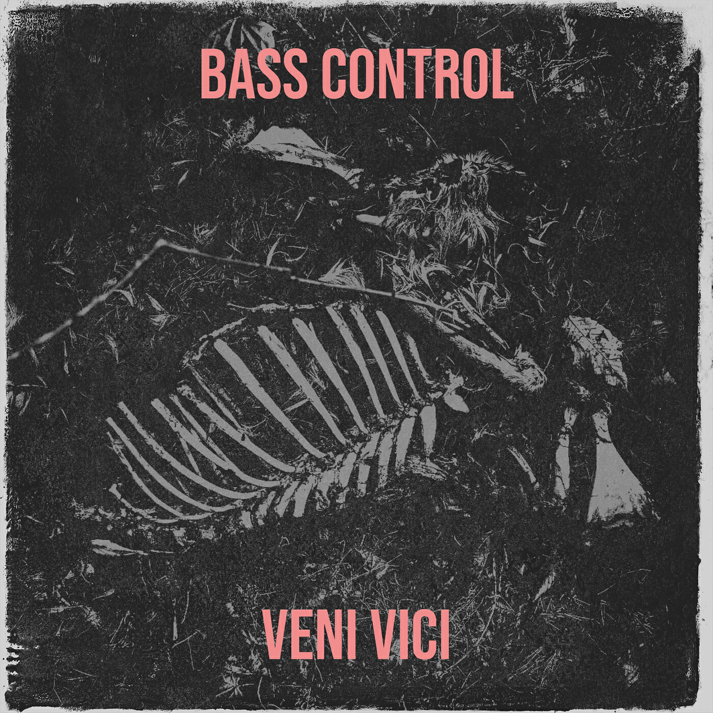 Релиз Bass Control