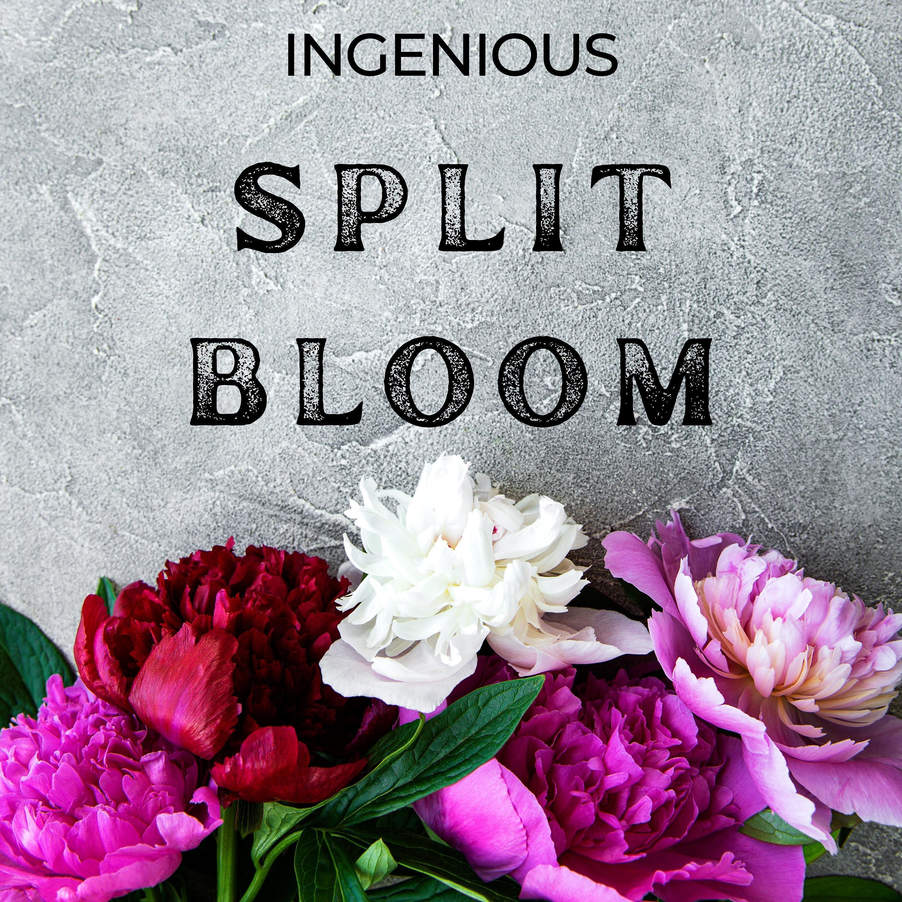 Релиз Split Bloom