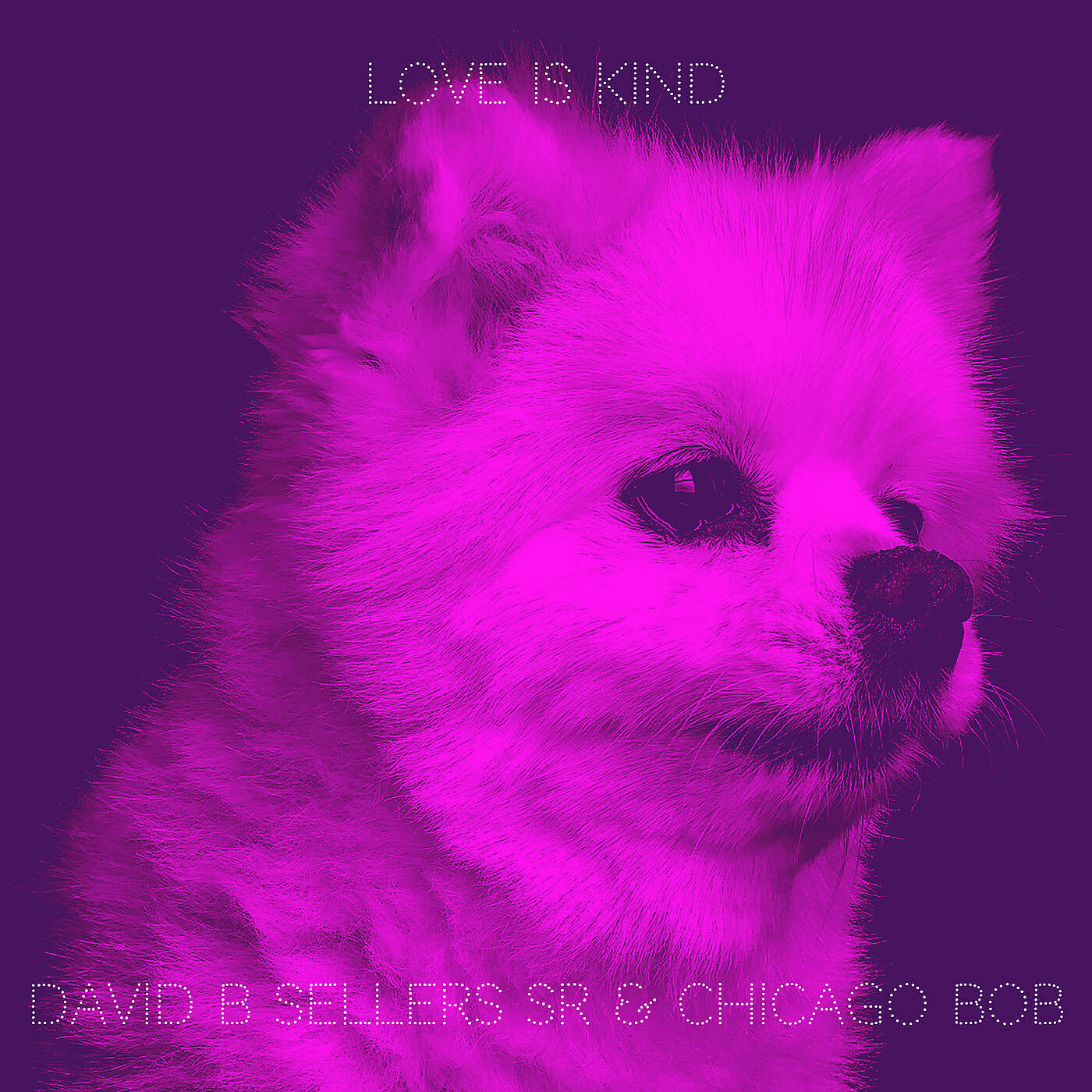 David B Sellers Sr