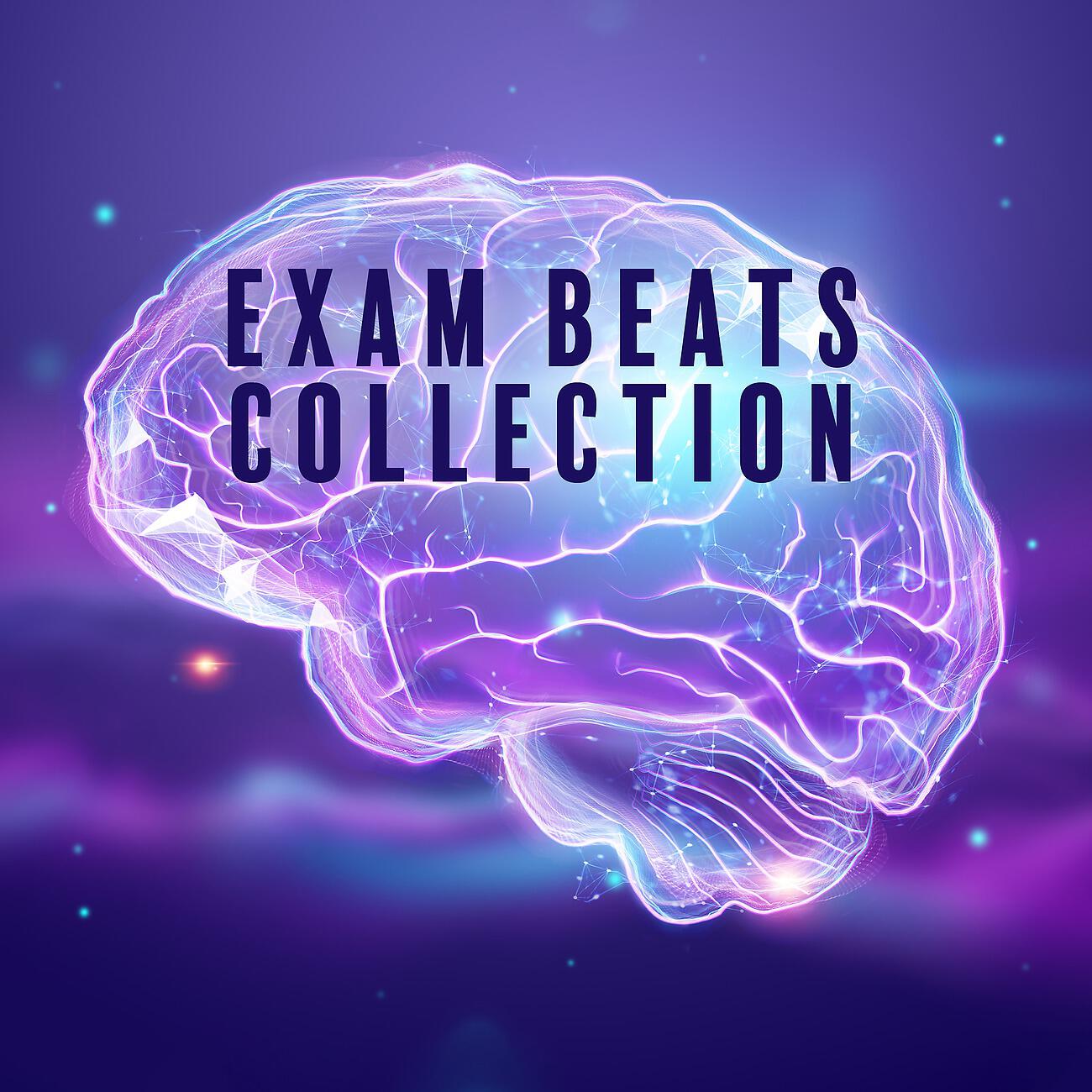 Релиз Exam Beats Collection