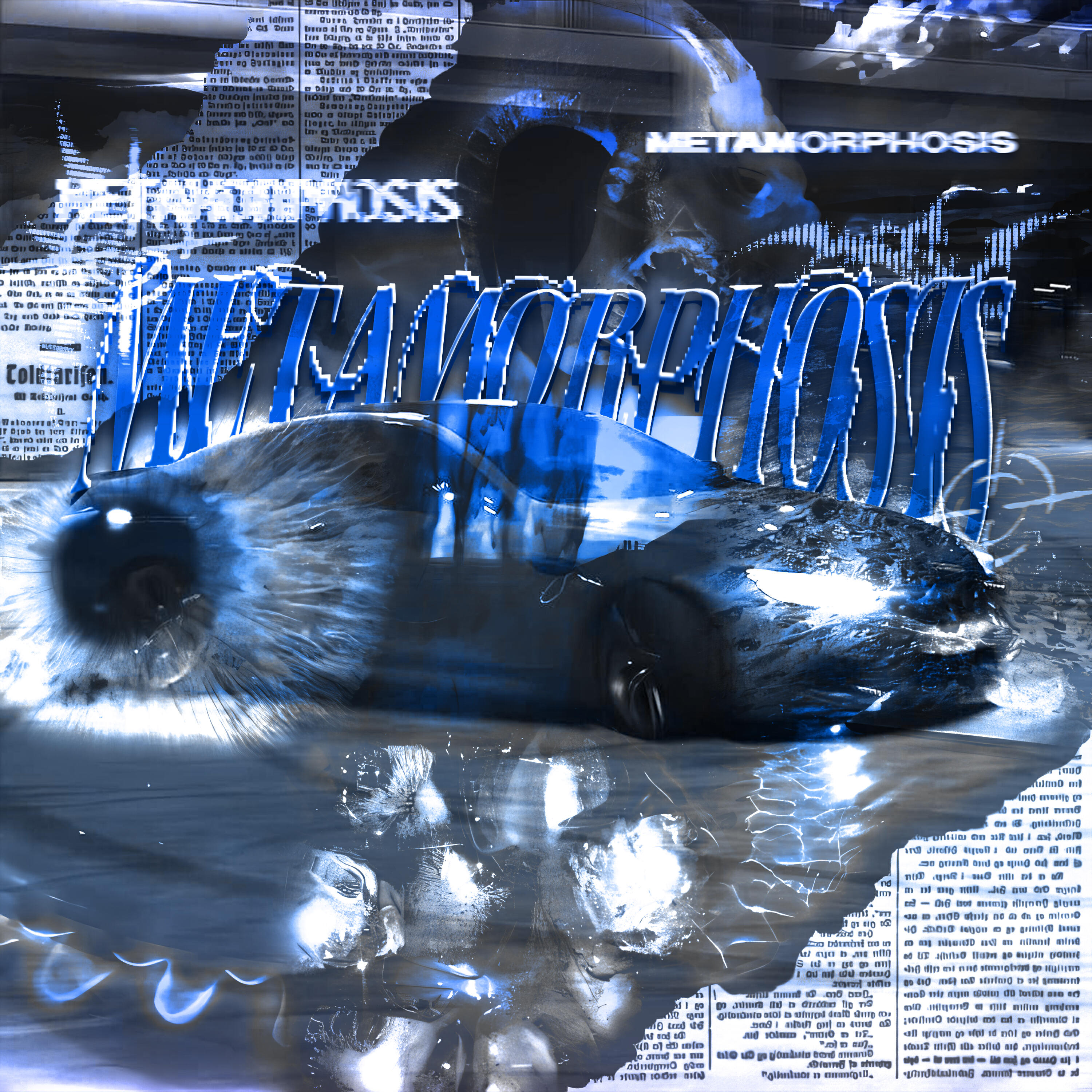 Релиз METAMORPHOSIS