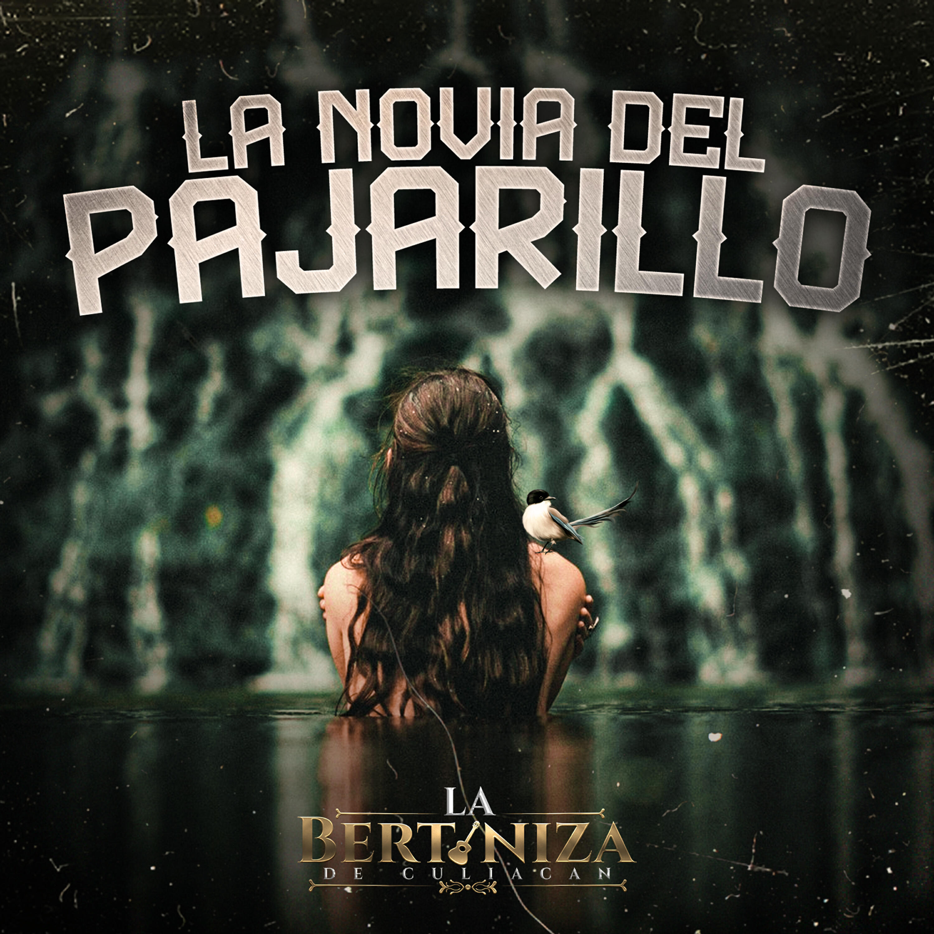 Релиз La Novia del Pajarillo