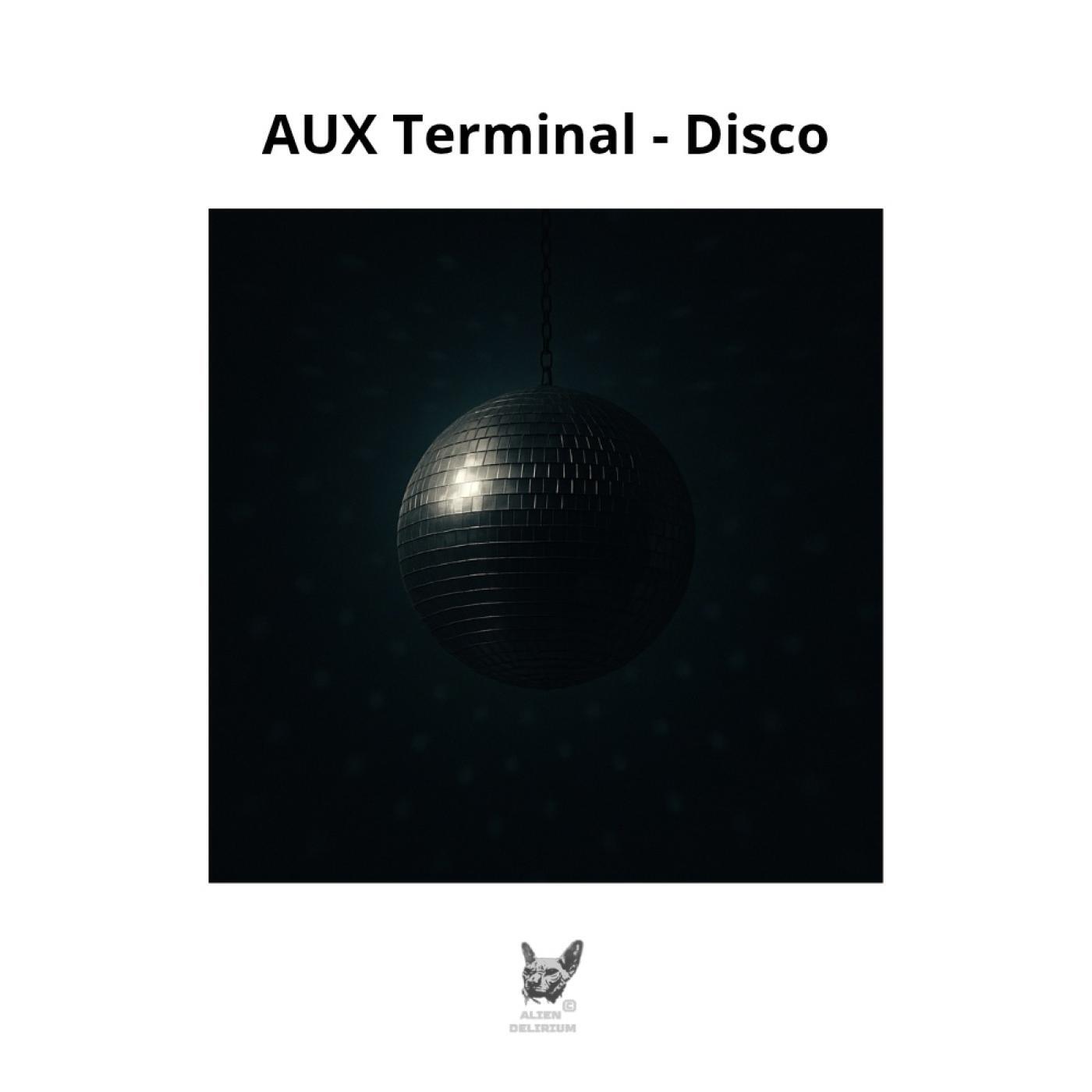 AUX Terminal