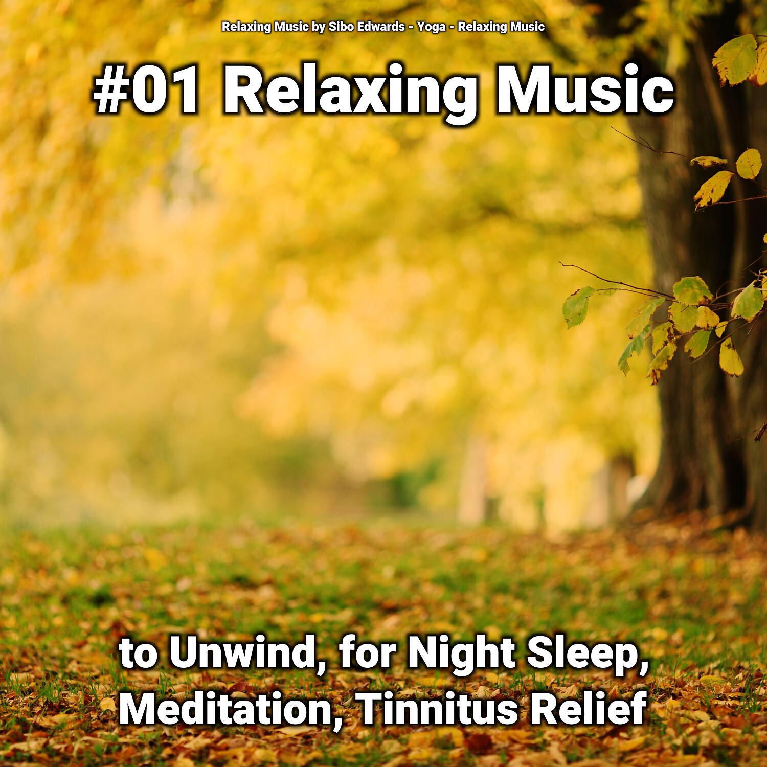 Релиз #01 Relaxing Music to Unwind, for Night Sleep, Meditation, Tinnitus Relief