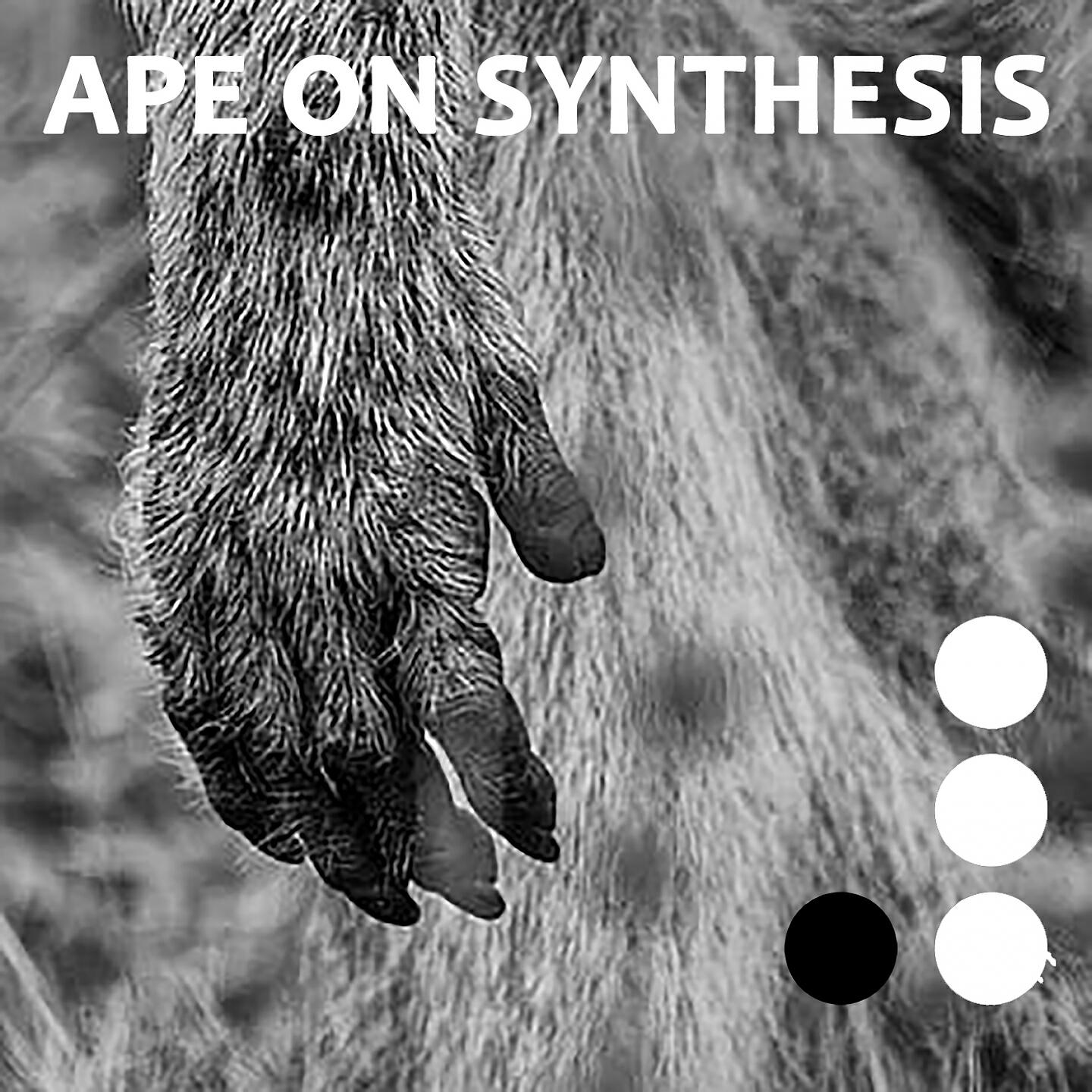 Релиз APE ON SYNTHESIS, Vol. 3