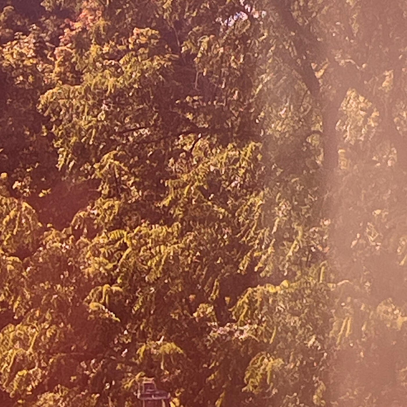 Релиз Blood on the Leaves