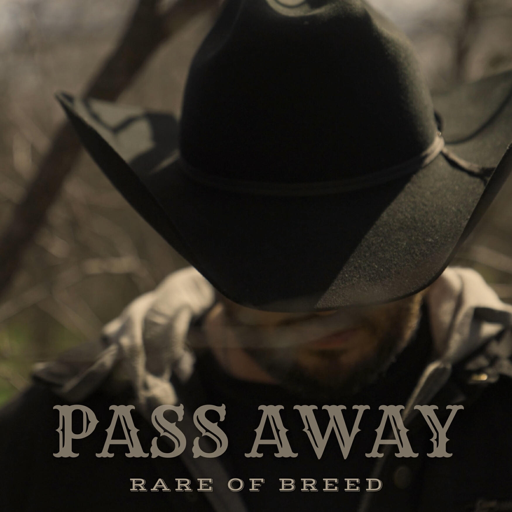 Релиз Pass Away