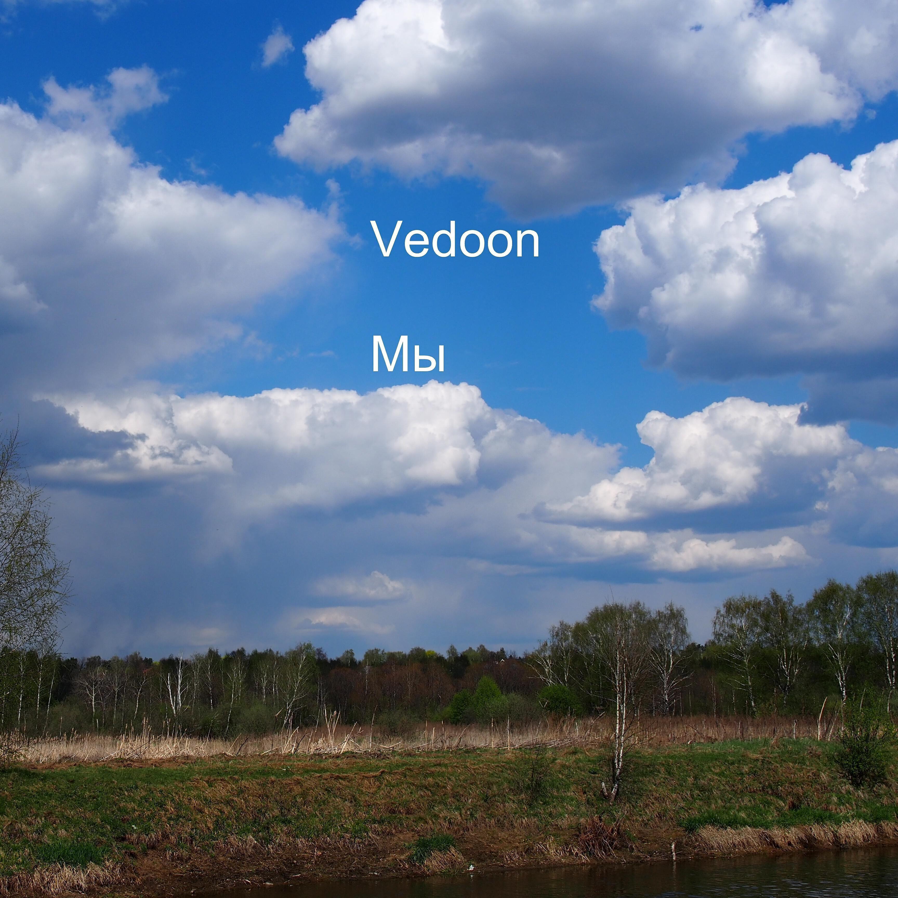Vedoon