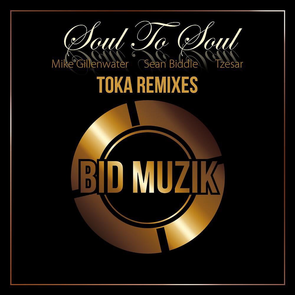 Релиз Soul to Soul (Toka Remixes)