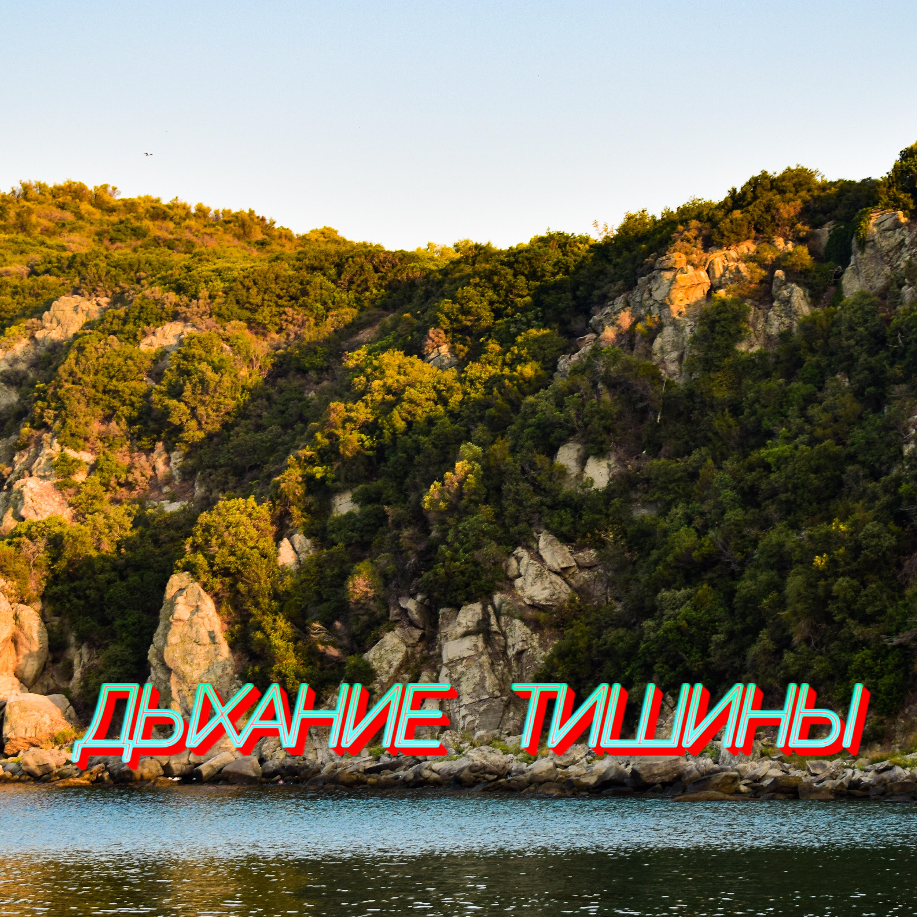 Постер альбома Дыхание тишины