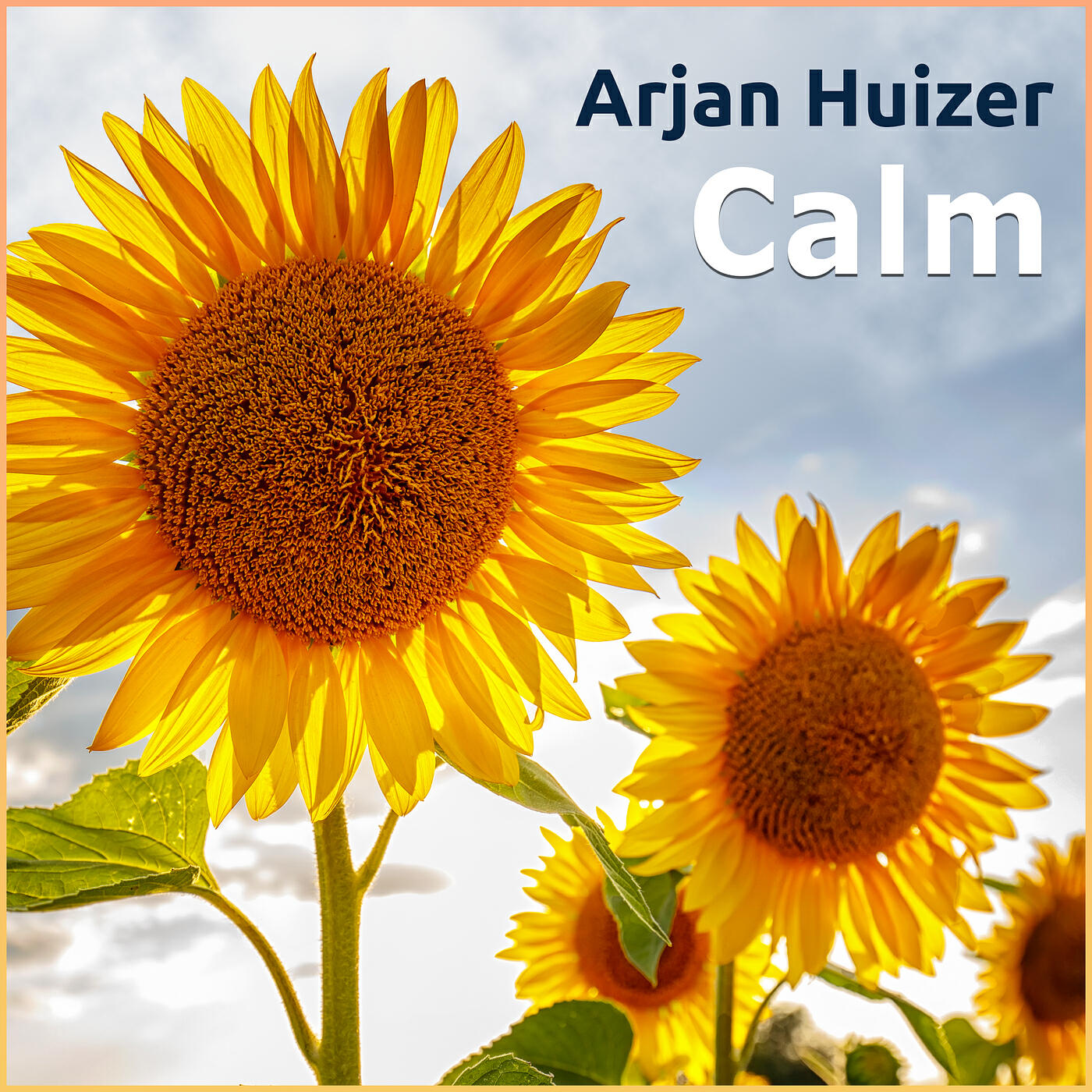 Релиз Calm
