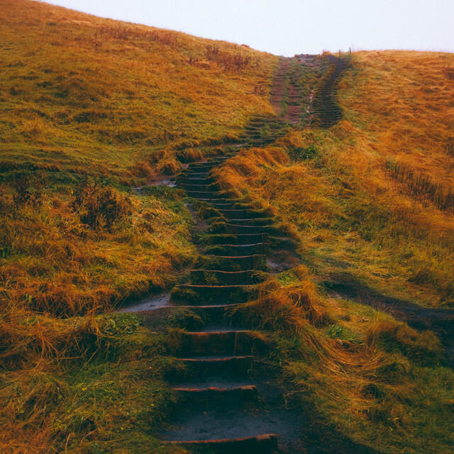 Релиз Dungeons and Dragons (S. Carey Remix)