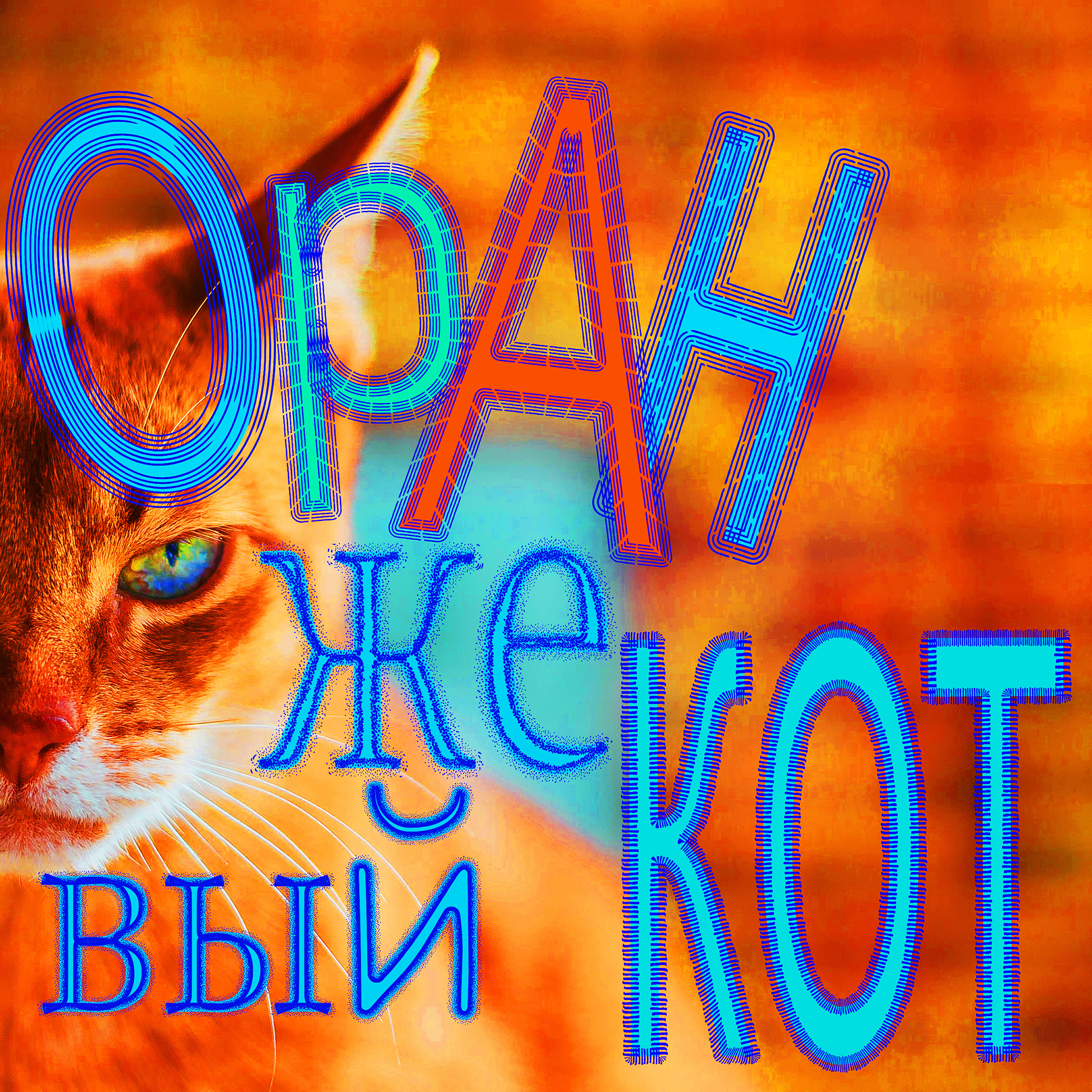 Релиз Оранжевый кот