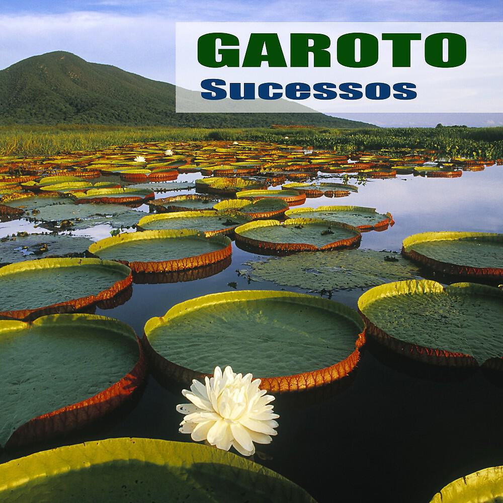 Релиз Sucessos
