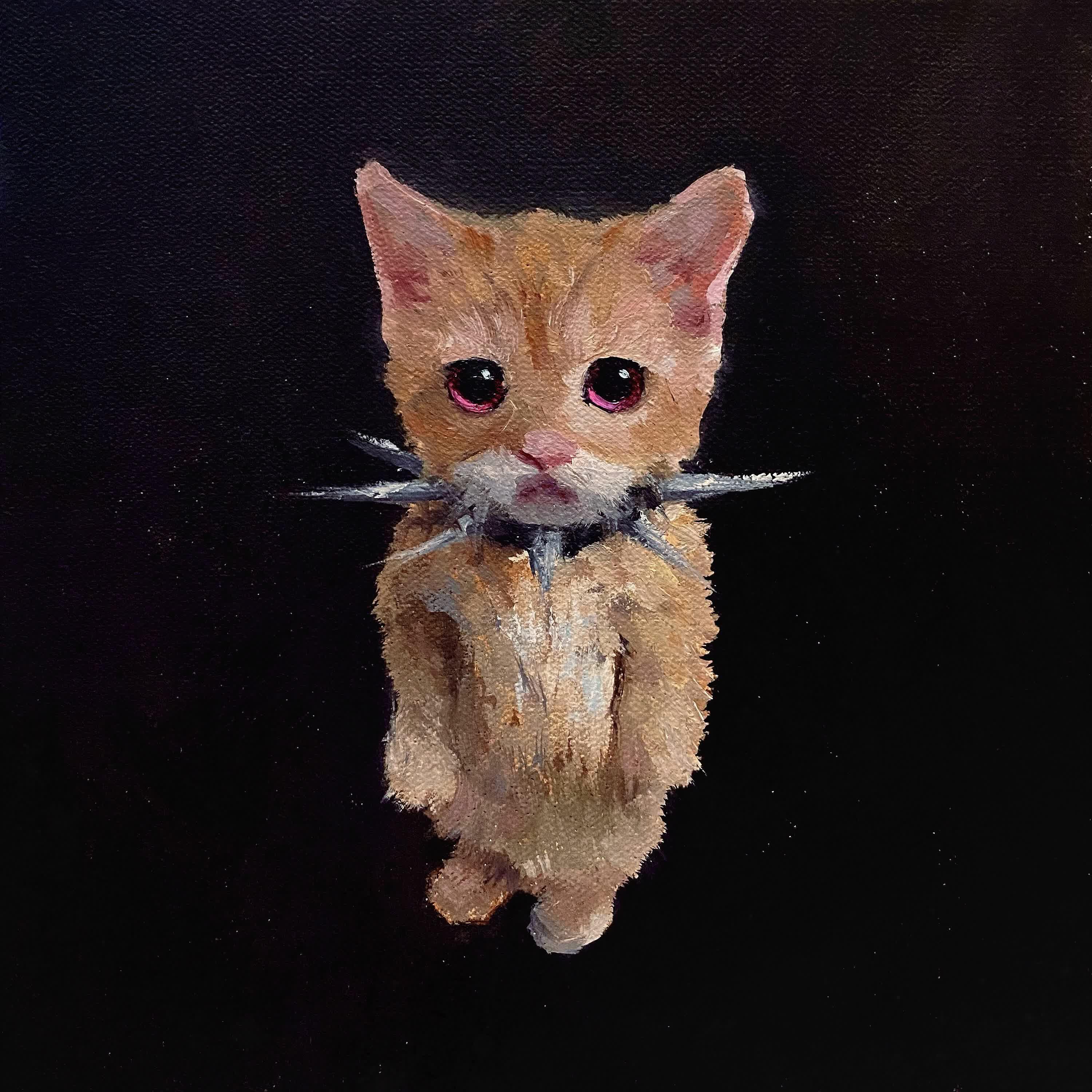 Релиз КОТИКИ