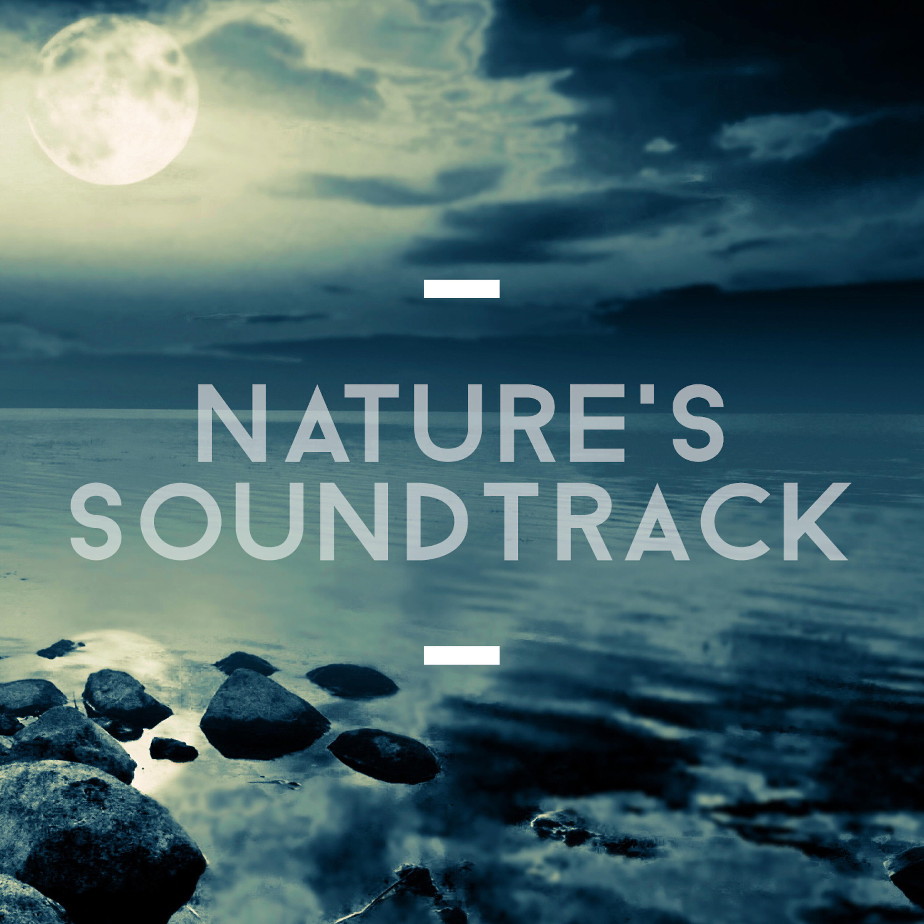 Релиз Nature's Soundtrack
