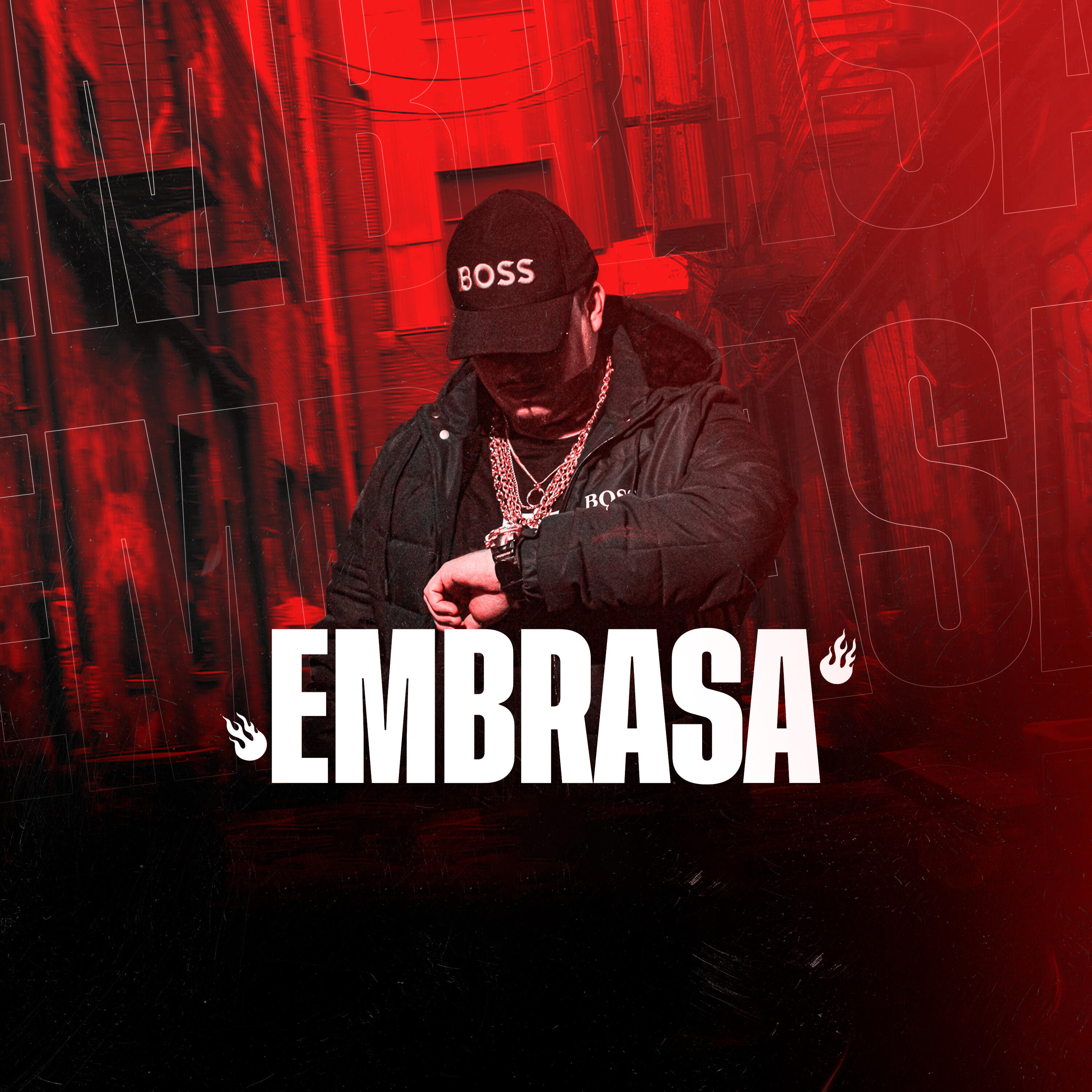 Релиз Embrasa
