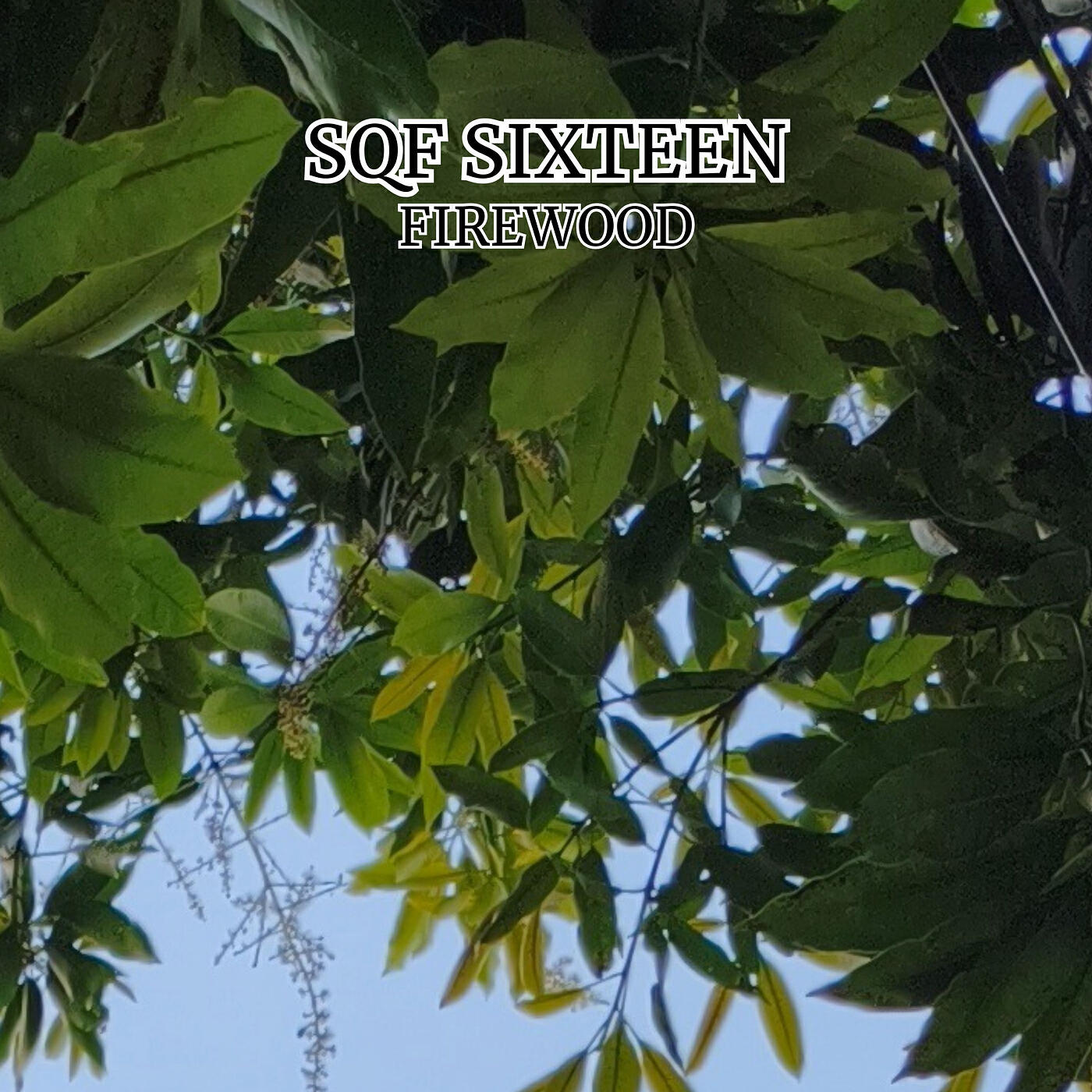 Релиз Firewoods