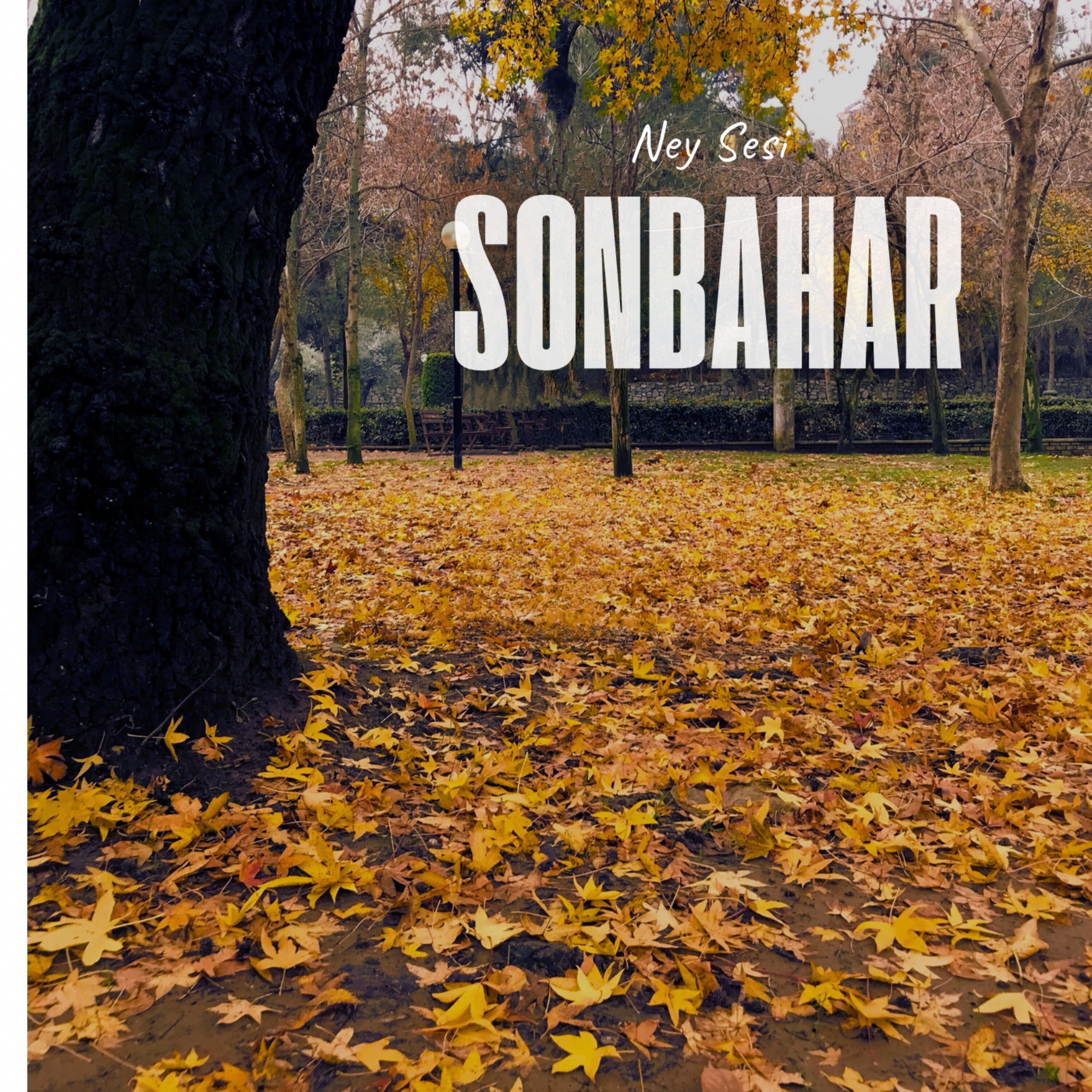 Релиз Sonbahar