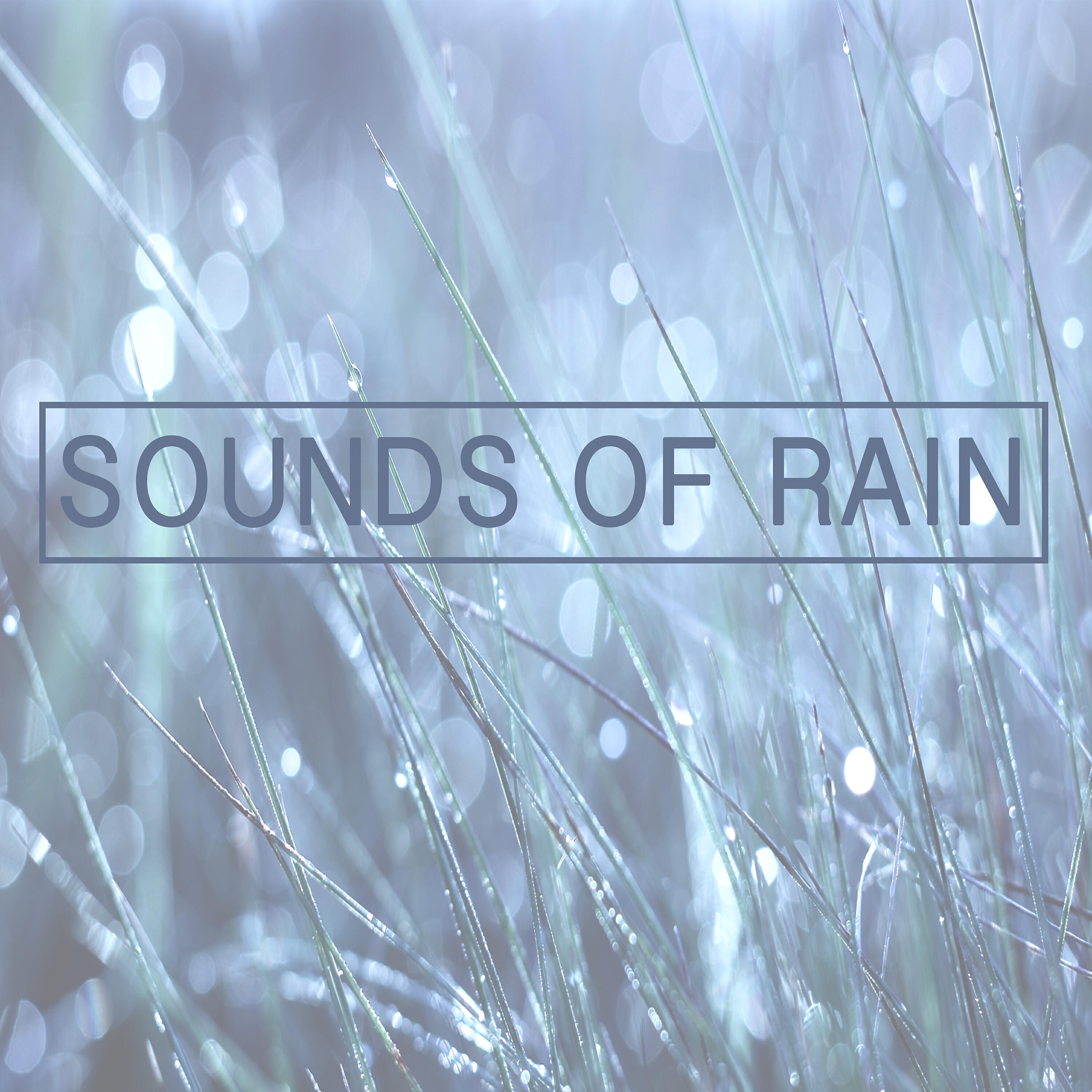Релиз Sounds of Rain