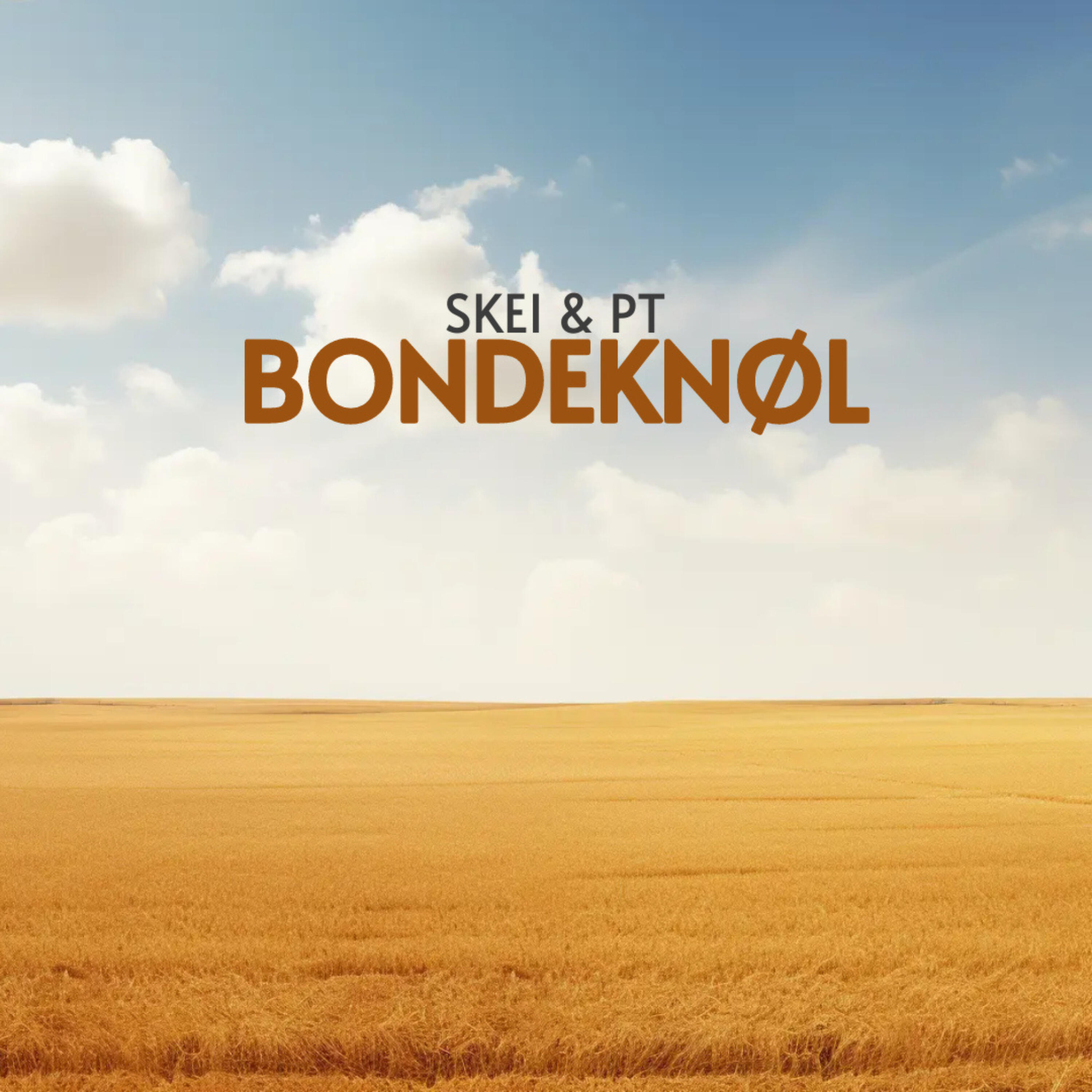 Релиз Bondeknøl