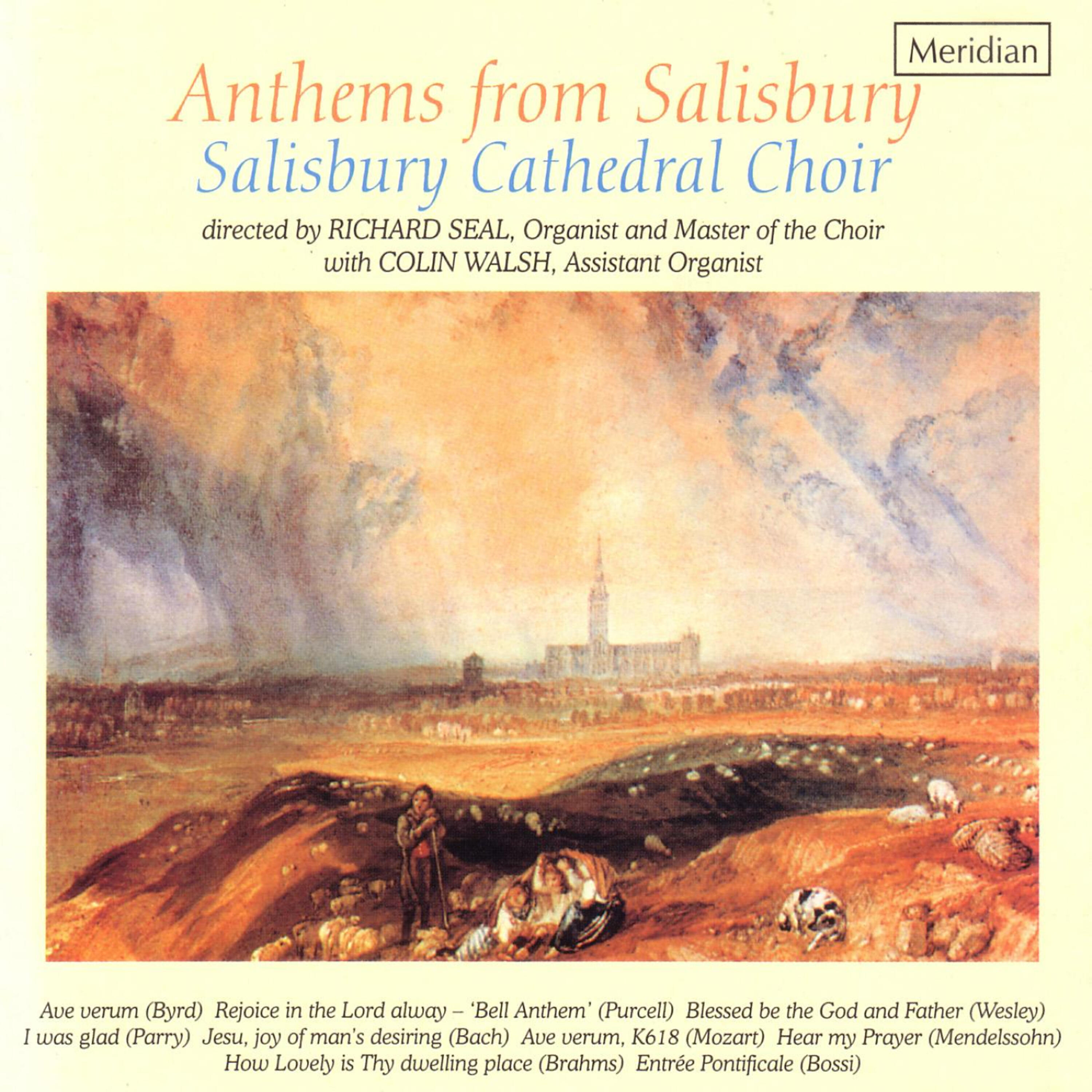 Релиз Anthems from Salisbury