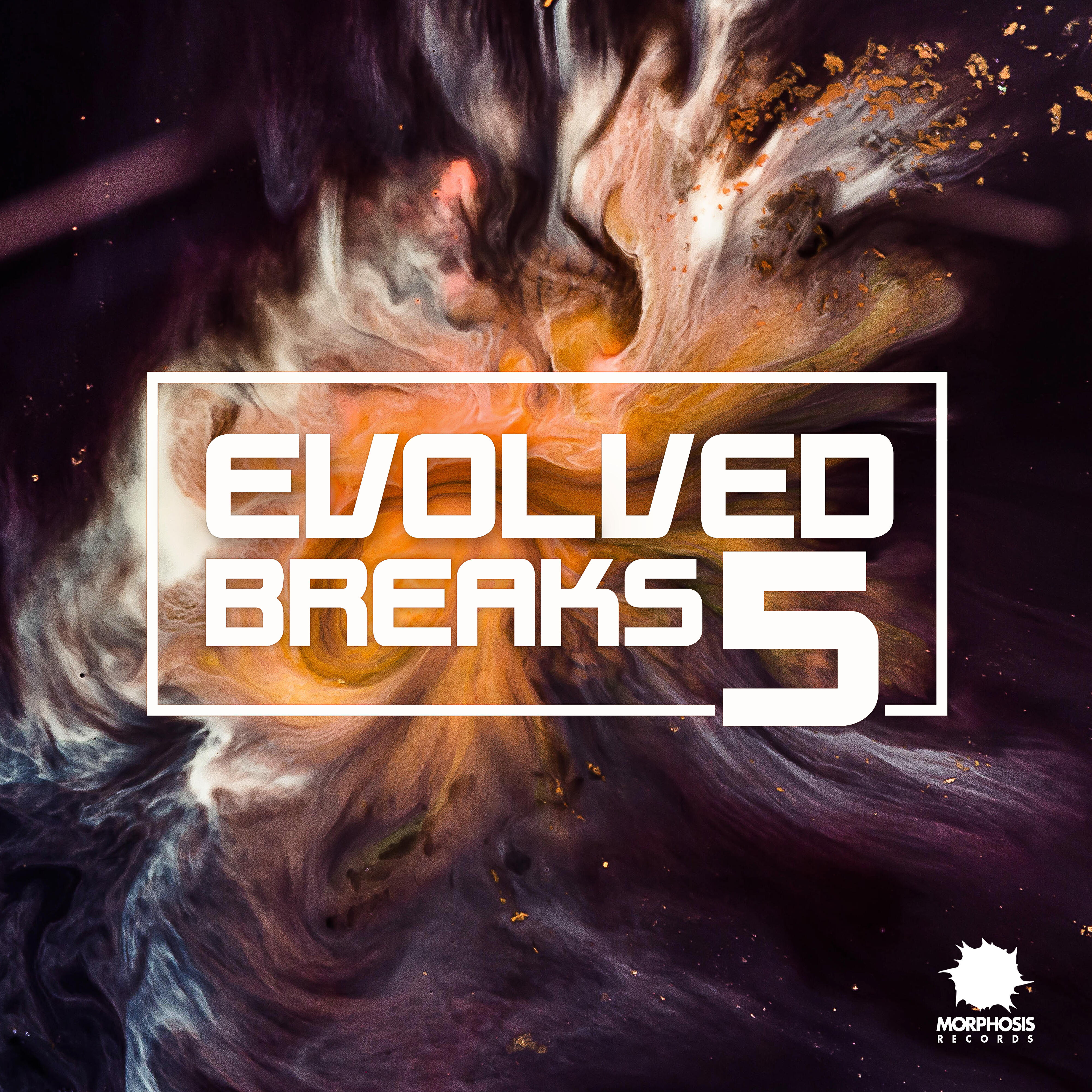 Релиз Evolved Breaks 5