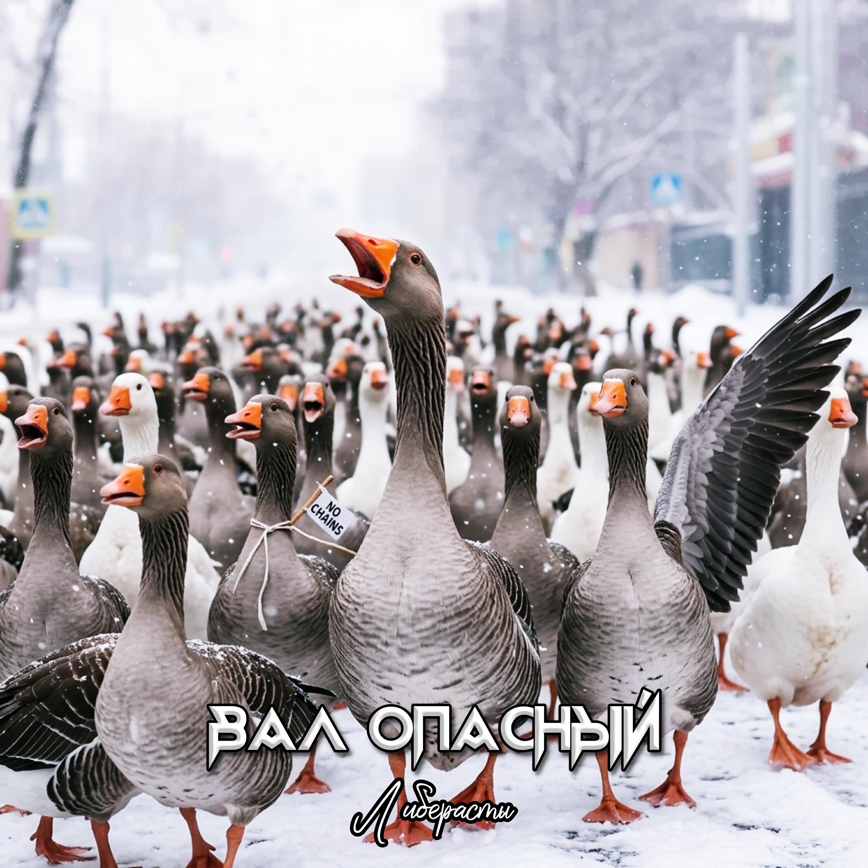 Релиз Либерасты