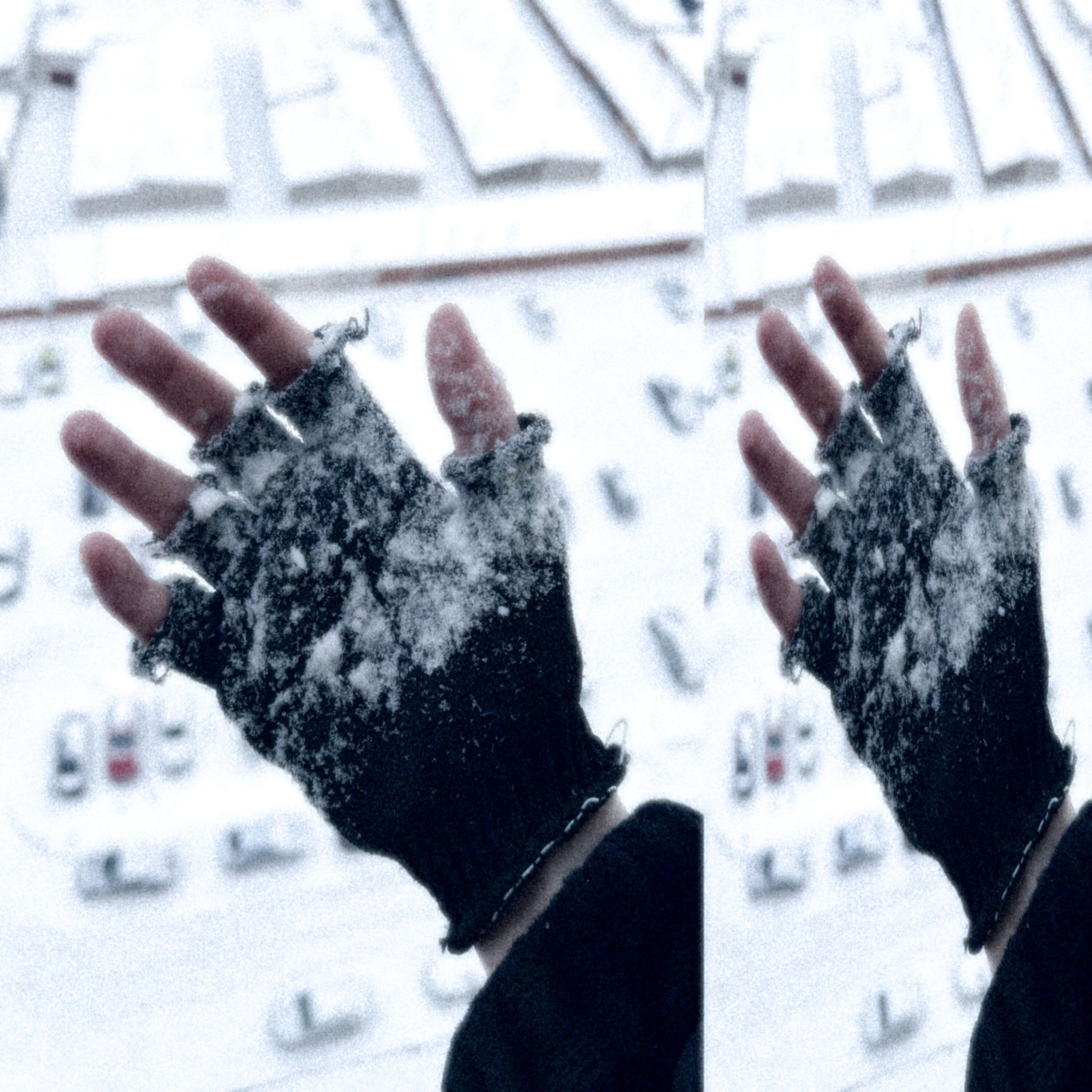 Релиз veins