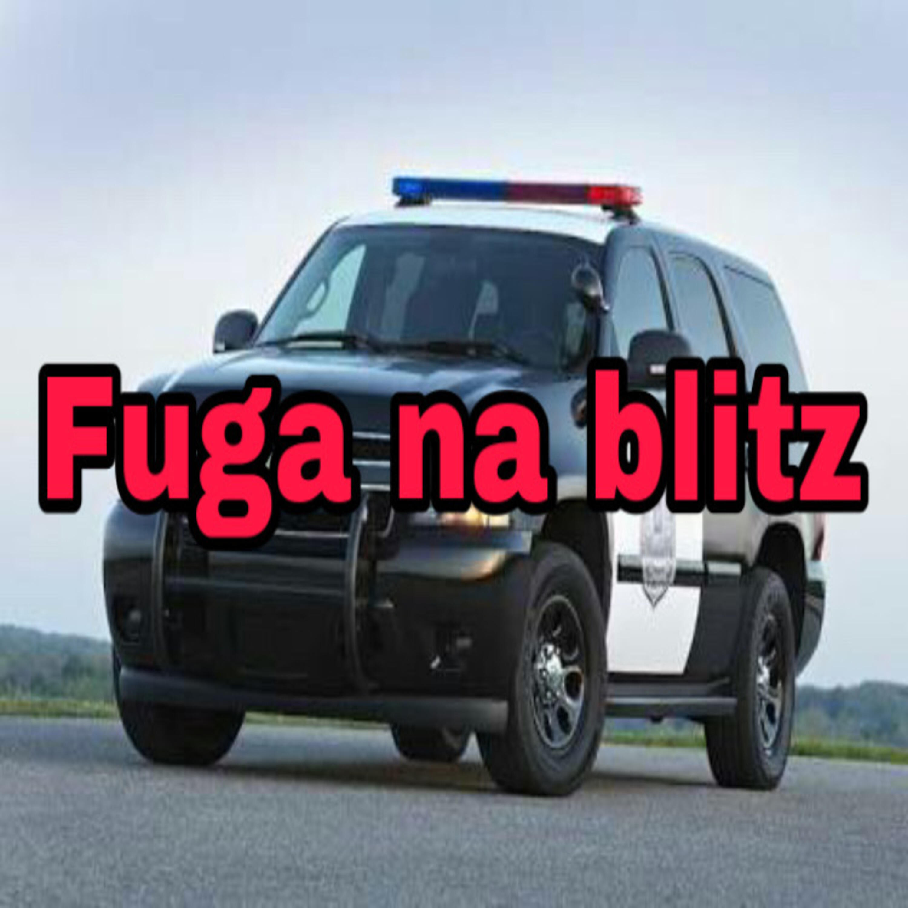 Трек Fuga na Blitz