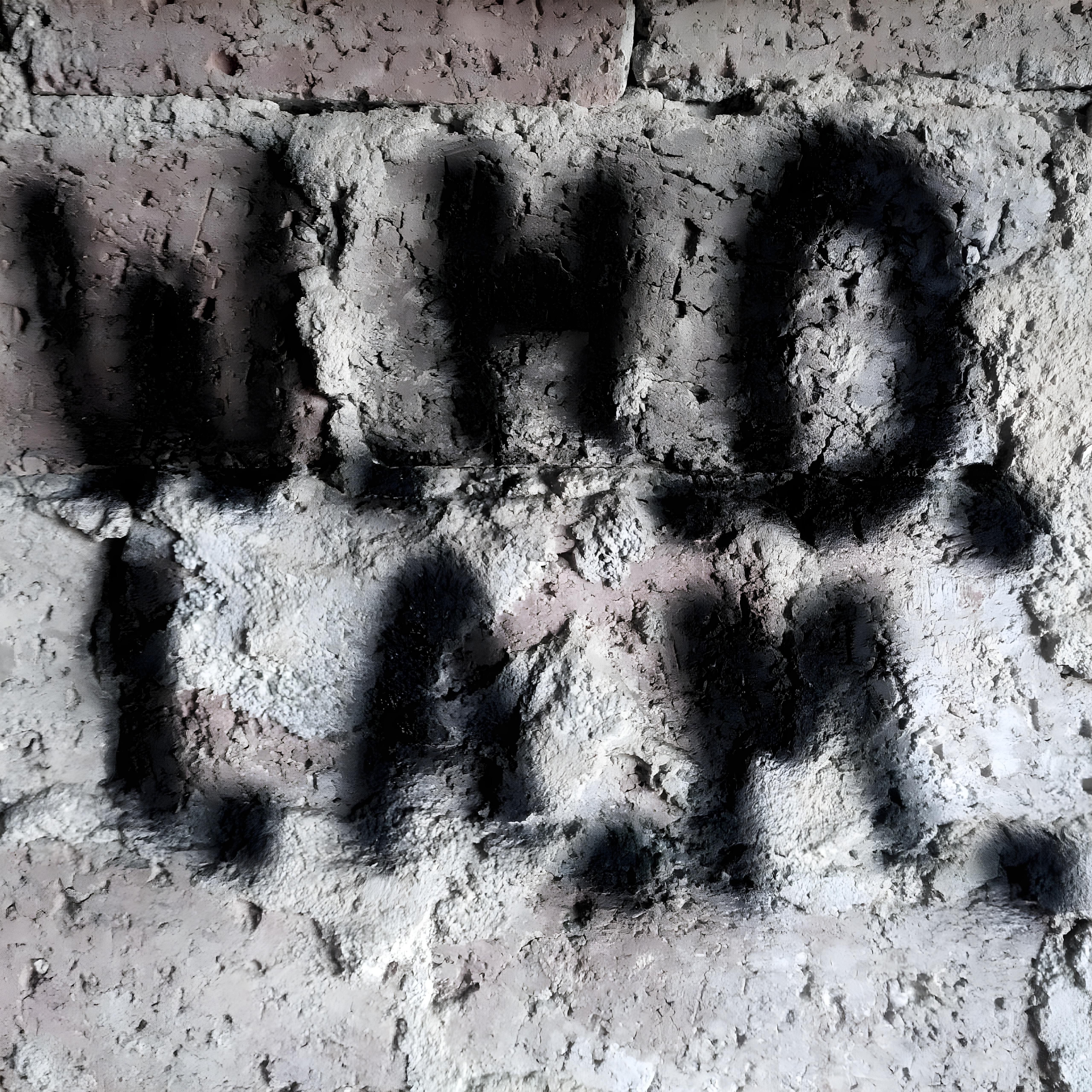 Релиз W. H. O. I. A. M.