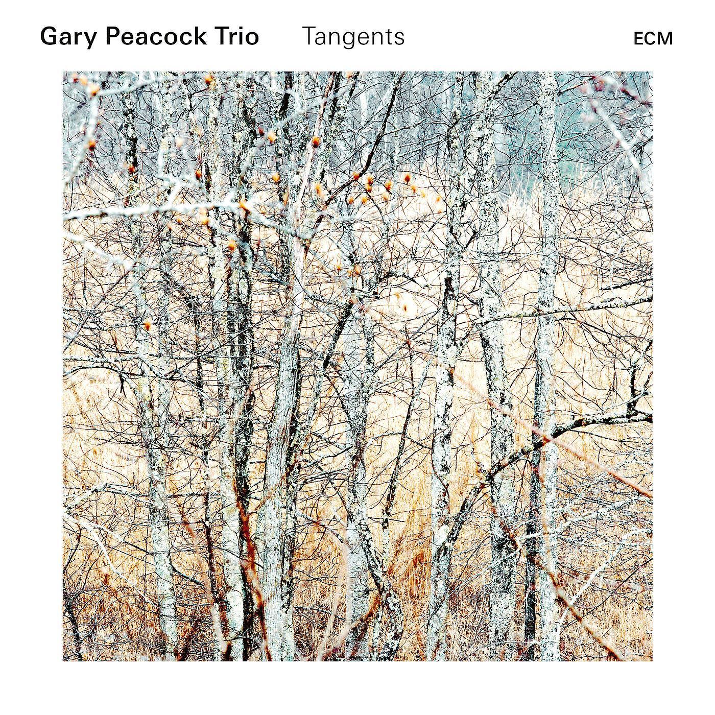 Gary Peacock Trio