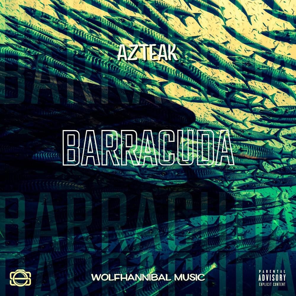 Релиз Barracuda